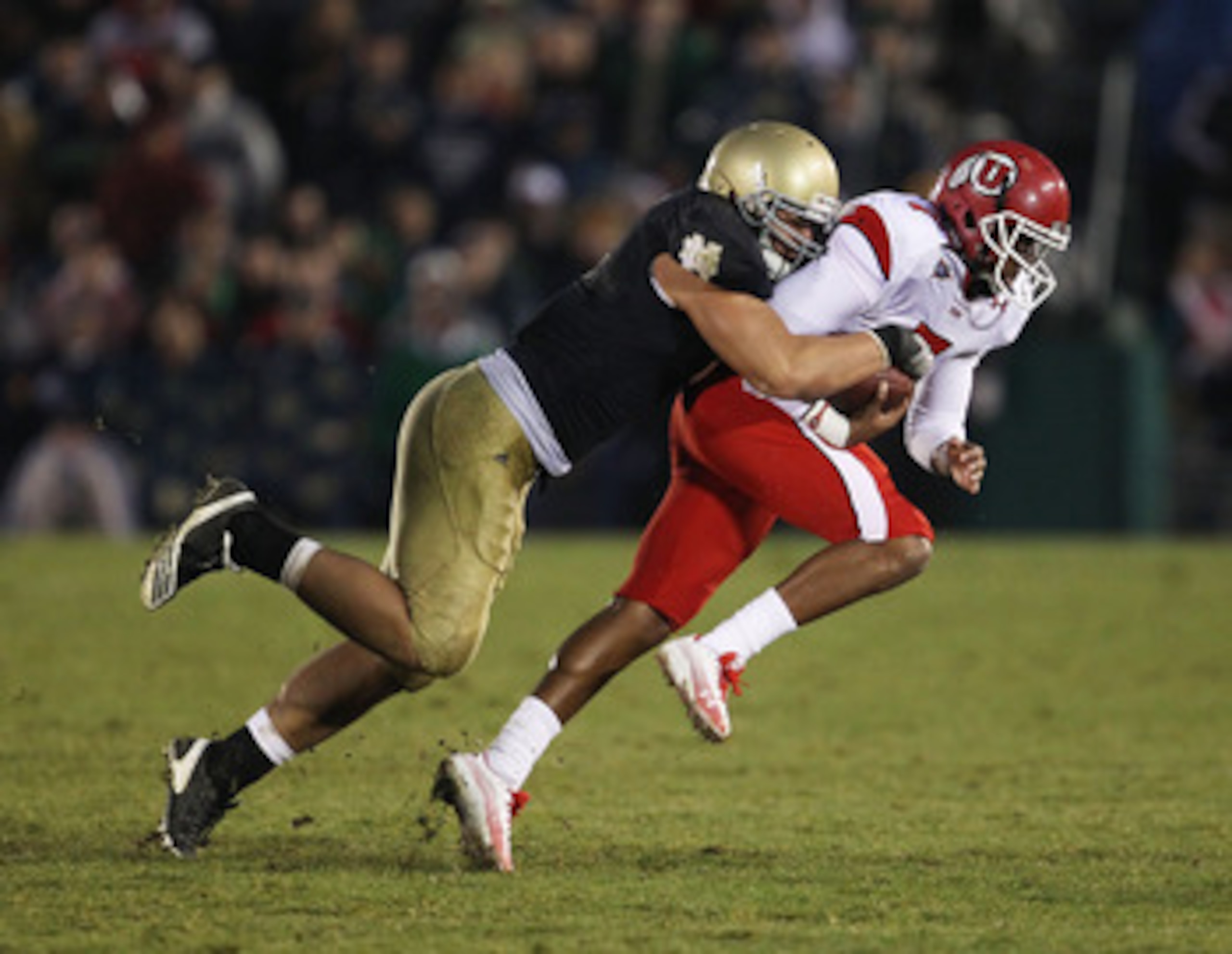 SOUTH BEND, IN - NOVEMBER 13: Manti Te'o #5 of the Notre Dame Fighting Irish brings down Terrance Cain #7 of the Utah Utes at Notre Dame Stadium on November 13, 2010 in South Bend, Indiana. Notre Dame defeated Utah 28-3. (Photo by Jonathan Daniel/Getty Im