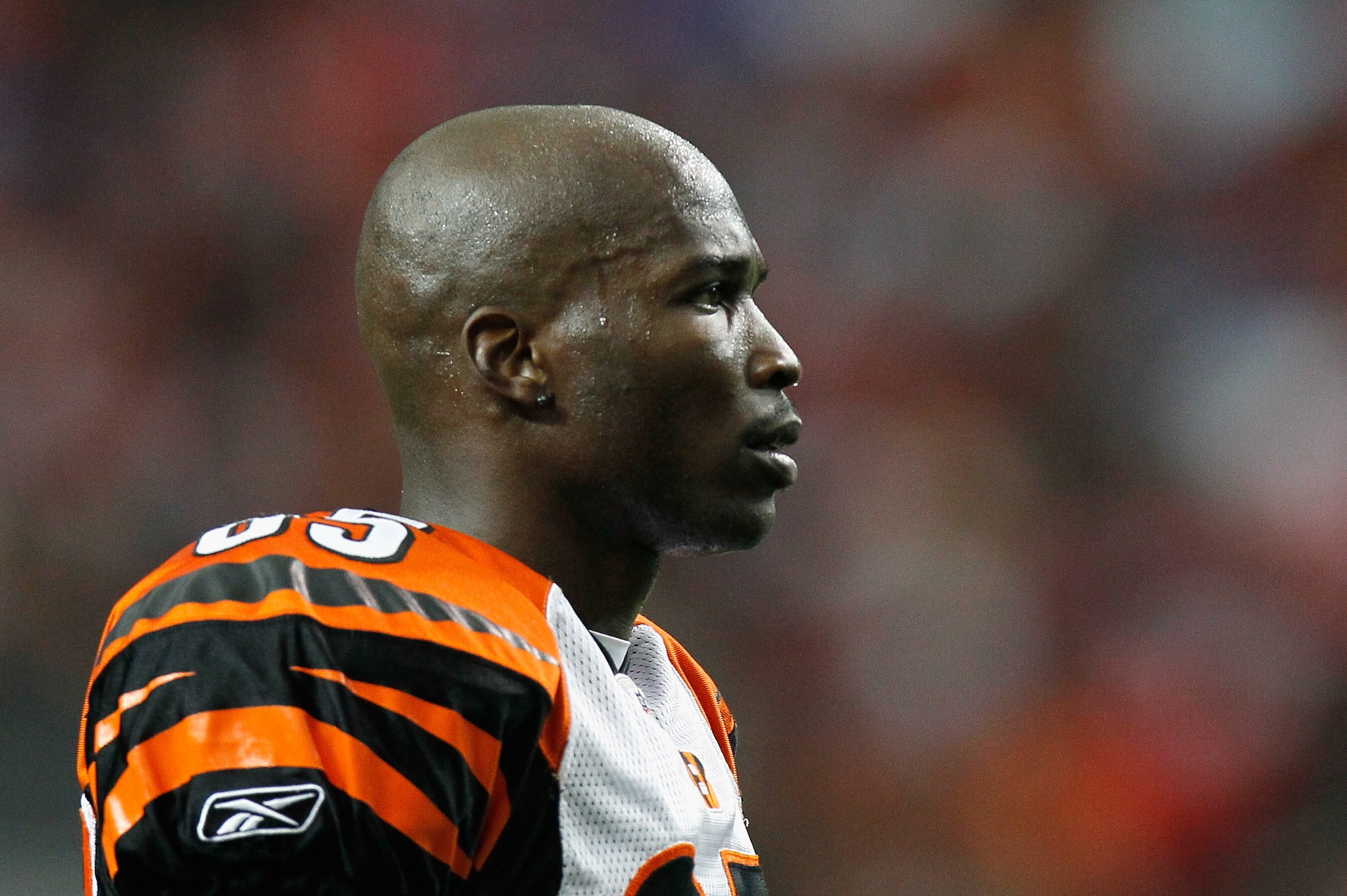 ATLANTA - OCTOBER 24:  Chad Ochocinco #85 of the Cincinnati Bengals against the Atlanta Falcons at Georgia Dome on October 24, 2010 in Atlanta, Georgia.  (Photo by Kevin C. Cox/Getty Images)