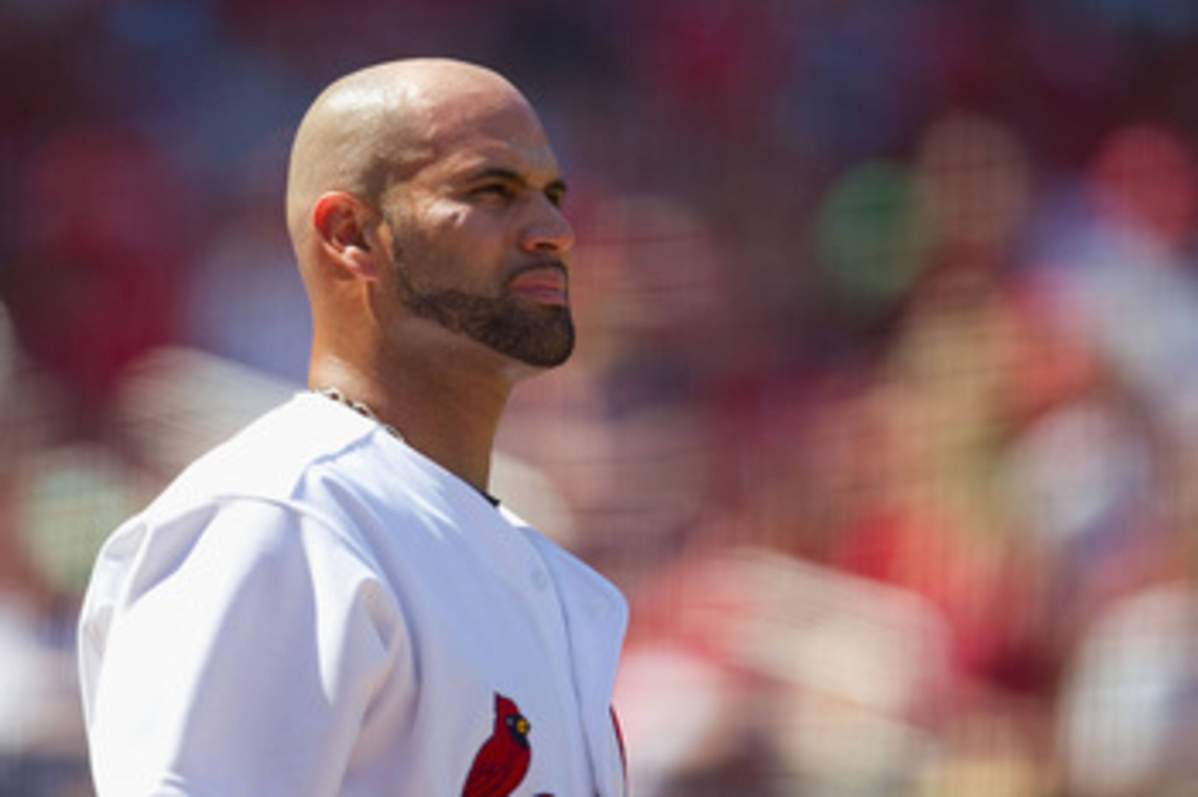 ST. LOUIS, MO - MAY 8: Albert Pujols #5 of the St. Louis Cardinals looks on from the on deck circle against the Milwaukee Brewers at Busch Stadium on May 8, 2011 in St. Louis, Missouri. (Photo by Dilip Vishwanat/Getty Images) ST. LOUIS, MO - MAY 8: Albert Pujols #5 of the St. Louis Cardinals looks on from the on deck circle against the Milwaukee Brewers at Busch Stadium on May 8, 2011 in St. Louis, Missouri. (Photo by Dilip Vishwanat/Getty Images)