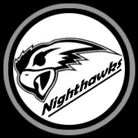 Portland Nighthawks Logo