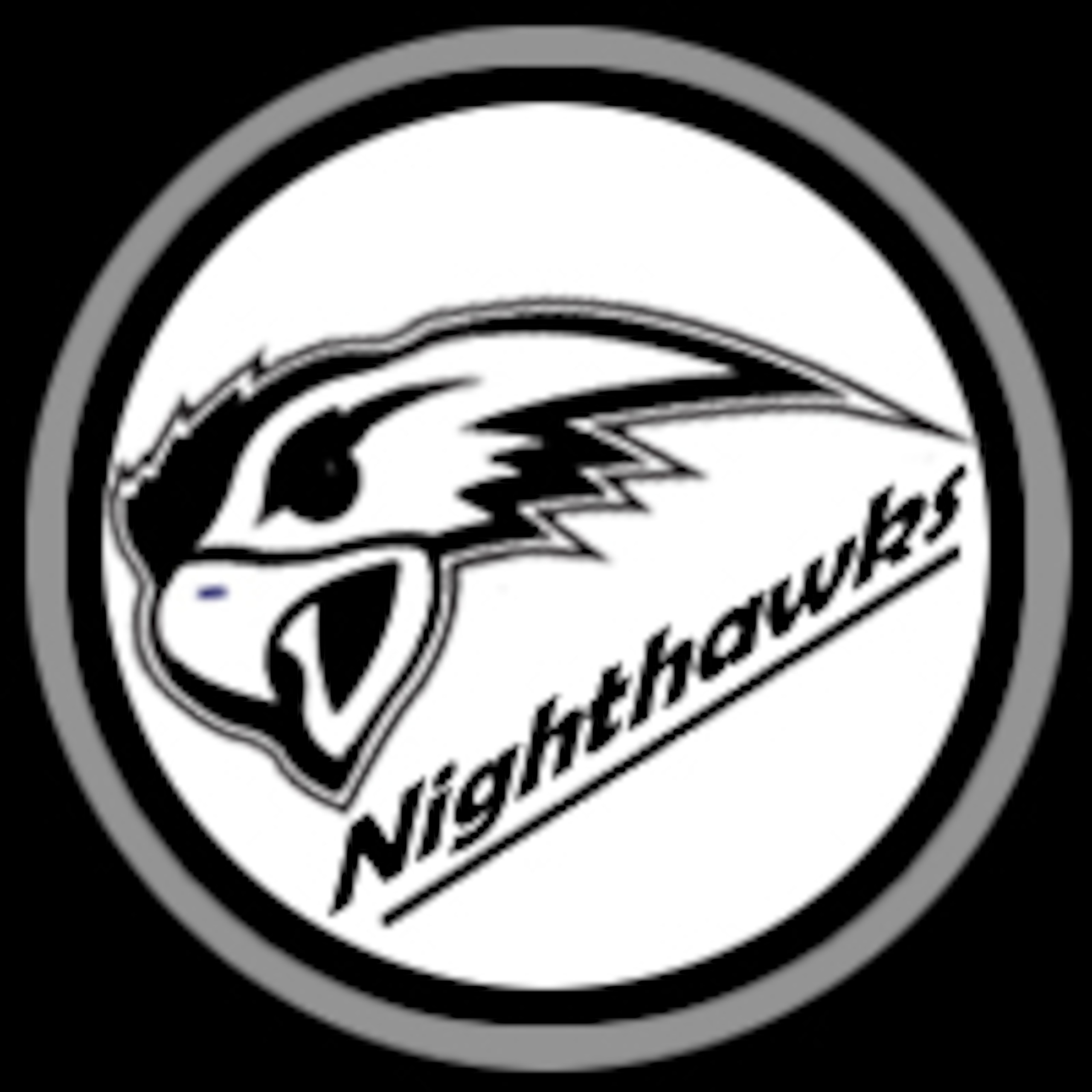 Portland Nighthawks Logo