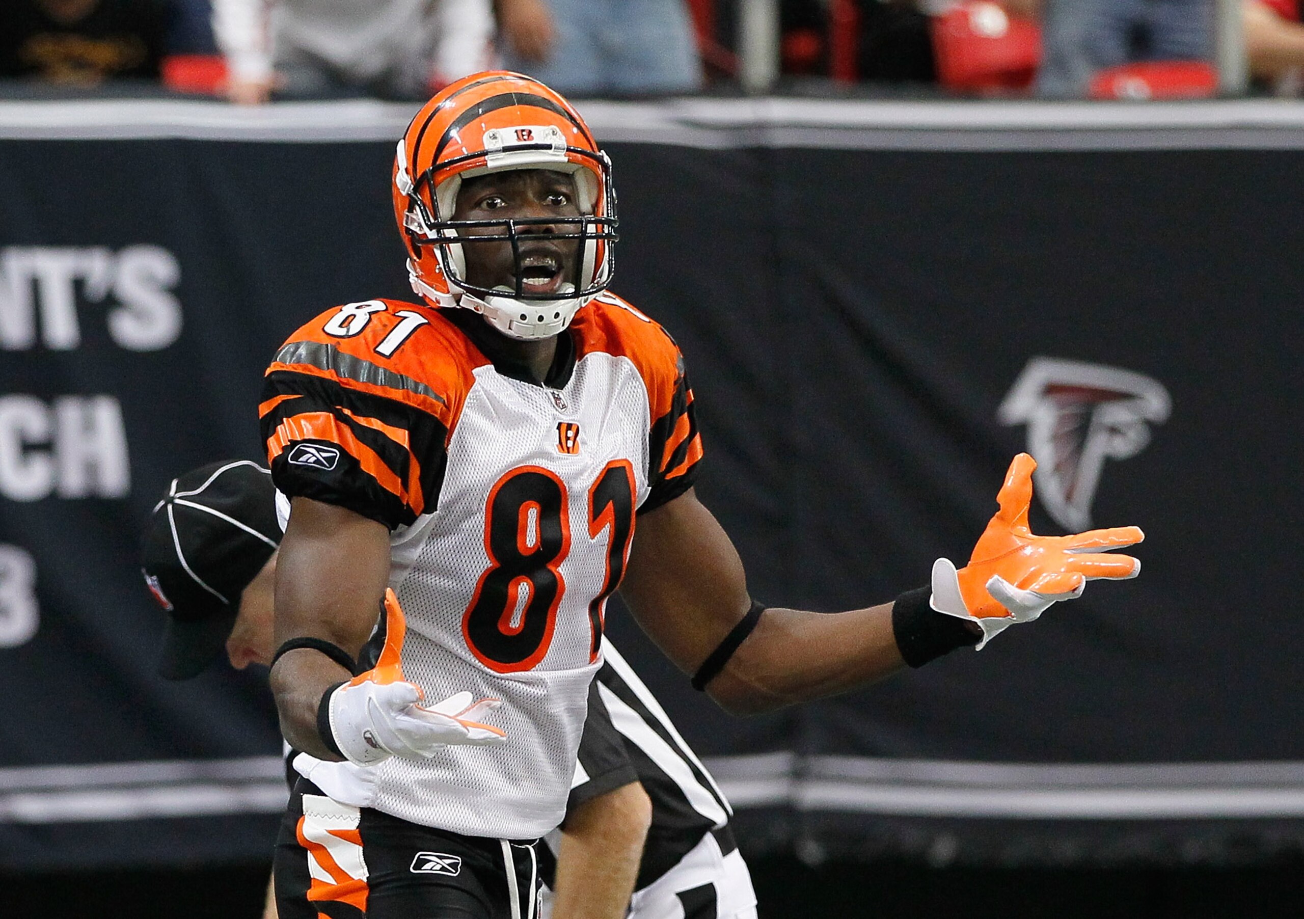 ATLANTA - OCTOBER 24:  Terrell Owens #81 of the Cincinnati Bengals against the Atlanta Falcons at Georgia Dome on October 24, 2010 in Atlanta, Georgia.  (Photo by Kevin C. Cox/Getty Images)