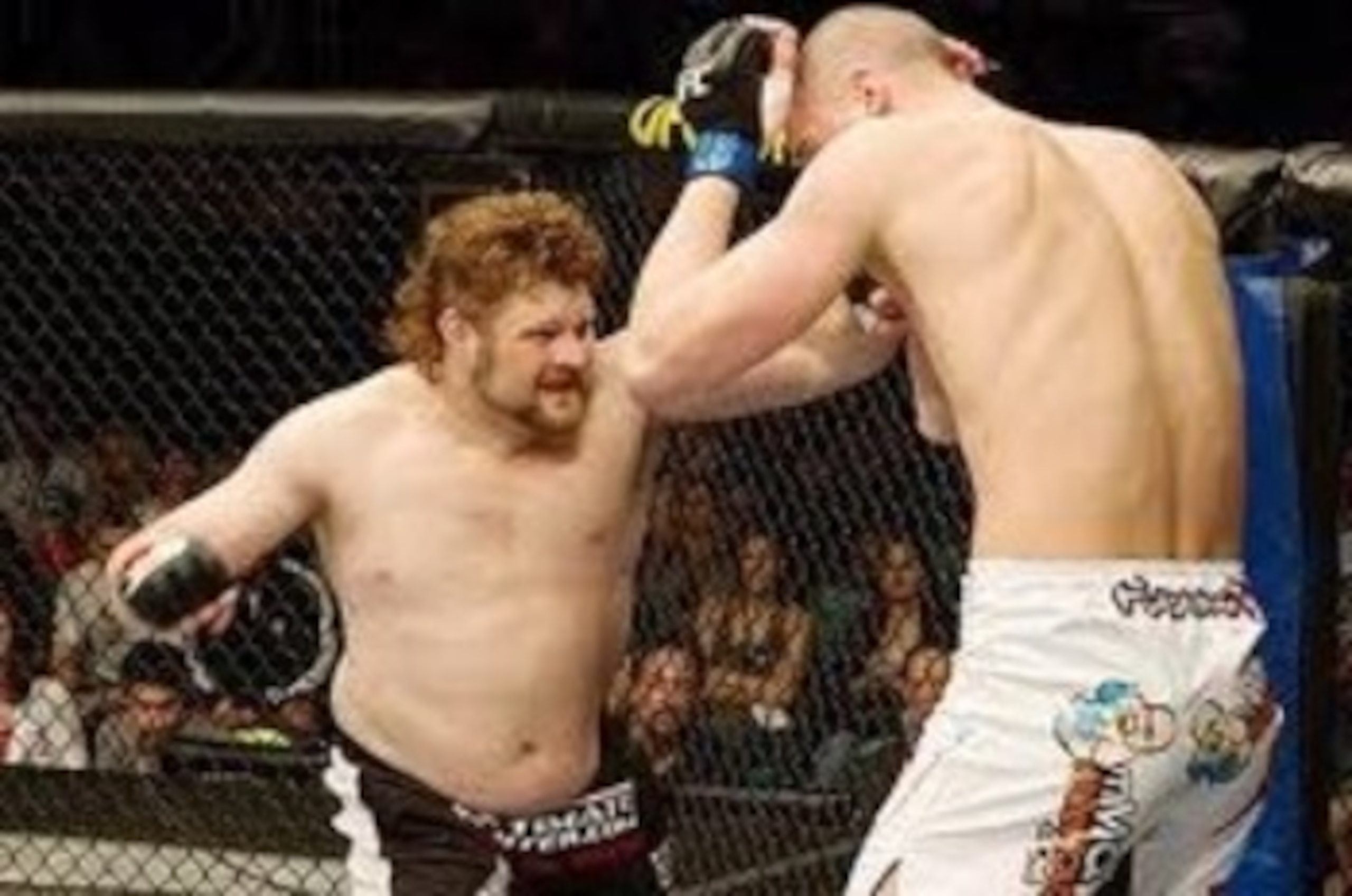 Roy Nelson chopping down the "Skyscraper" Stefan Struve