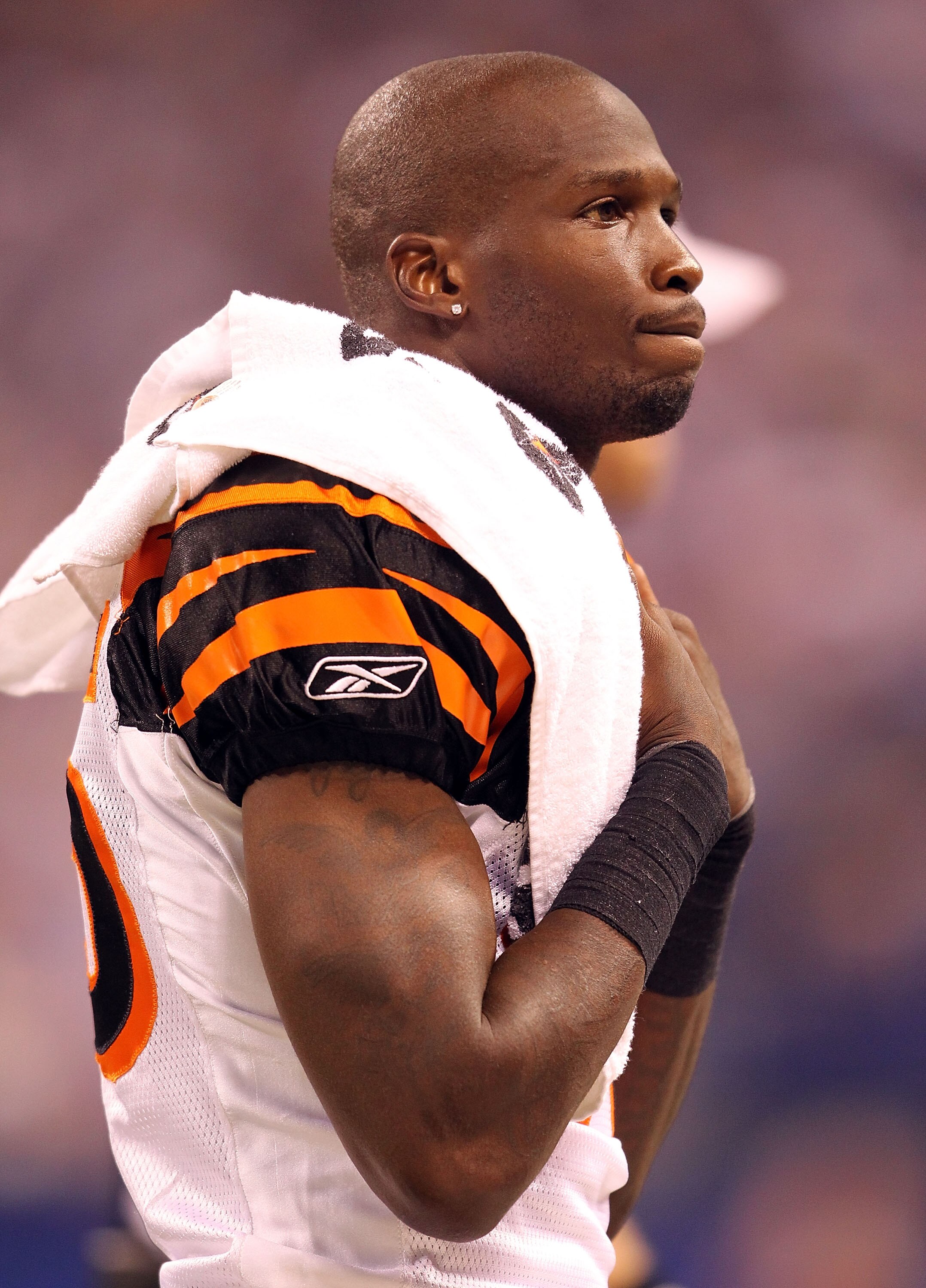 INDIANAPOLIS - SEPTEMBER 02:  Chad Ochocinco #85 of the Cincinnati Bengals watches from the sidelines during the NFL preseason game against the Indianapolis Colts at Lucas Oil Stadium on September 2, 2010 in Indianapolis, Indiana.  (Photo by Andy Lyons/Ge