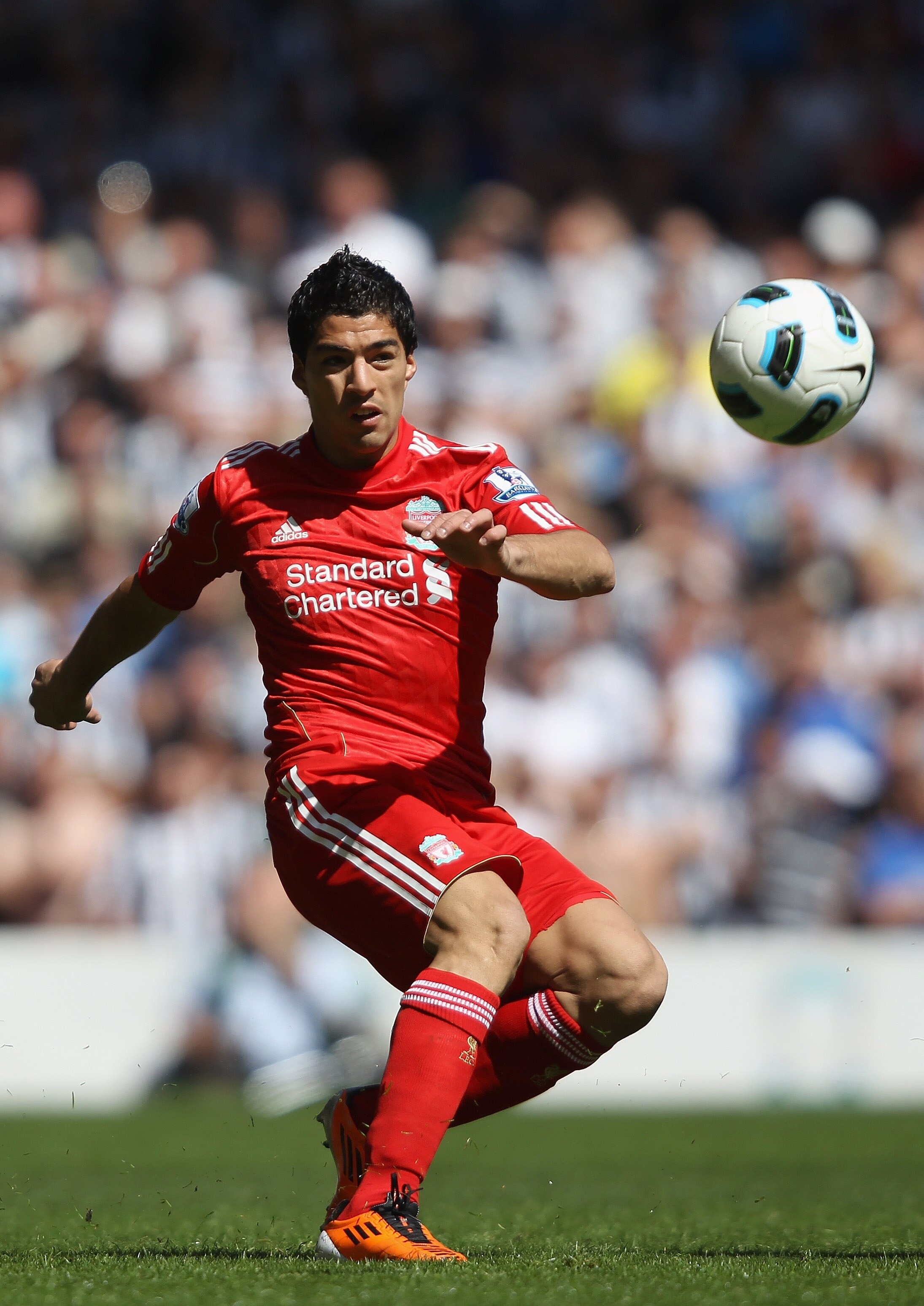 LIVERPOOL, ENGLAND - MAY 01:  Luis Suarez of Liverpool in action during the Barclays Premier League match between Liverpool  and Newcastle United at Anfield on May 1, 2011 in Liverpool, England.  (Photo by Clive Brunskill/Getty Images)