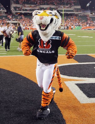 CINCINNATI - SEPTEMBER 10: The Cincinnati Bengals mascot leaves the field against the Baltimore Ravens during their season opening game on September 10, 2007 at Paul Brown Stadium in Cincinnati, Ohio. The Bengals defeated the Ravens 27-20.  (Photo by Jim 