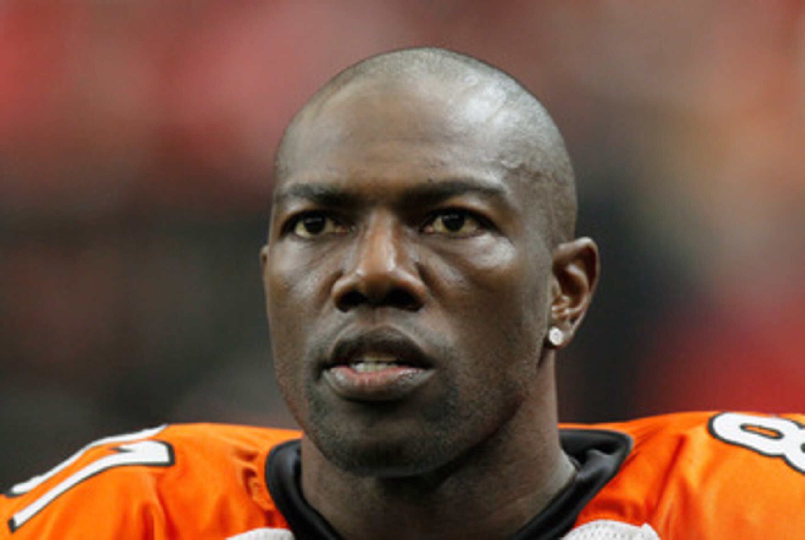 ATLANTA - OCTOBER 24:  Terrell Owens #81 of the Cincinnati Bengals against the Atlanta Falcons at Georgia Dome on October 24, 2010 in Atlanta, Georgia.  (Photo by Kevin C. Cox/Getty Images)