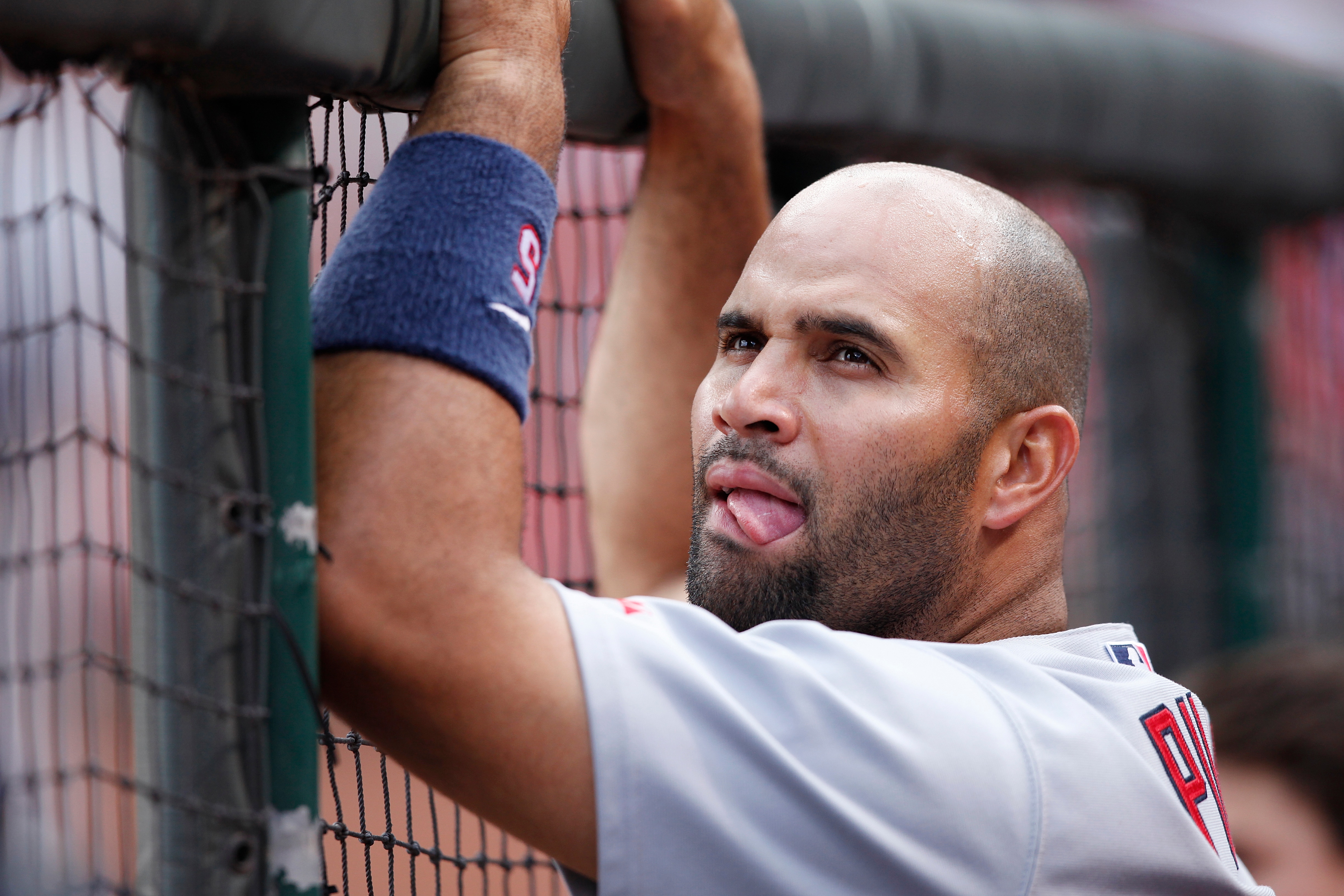 CINCINNATI, OH - MAY 14: Albert Pujols #5 of the St. Louis Cardinals looks on late in the game against the Cincinnati Reds at Great American Ball Park on May 14, 2011 in Cincinnati, Ohio. The Reds defeated the Cardinals 7-3. (Photo by Joe Robbins/Getty Im