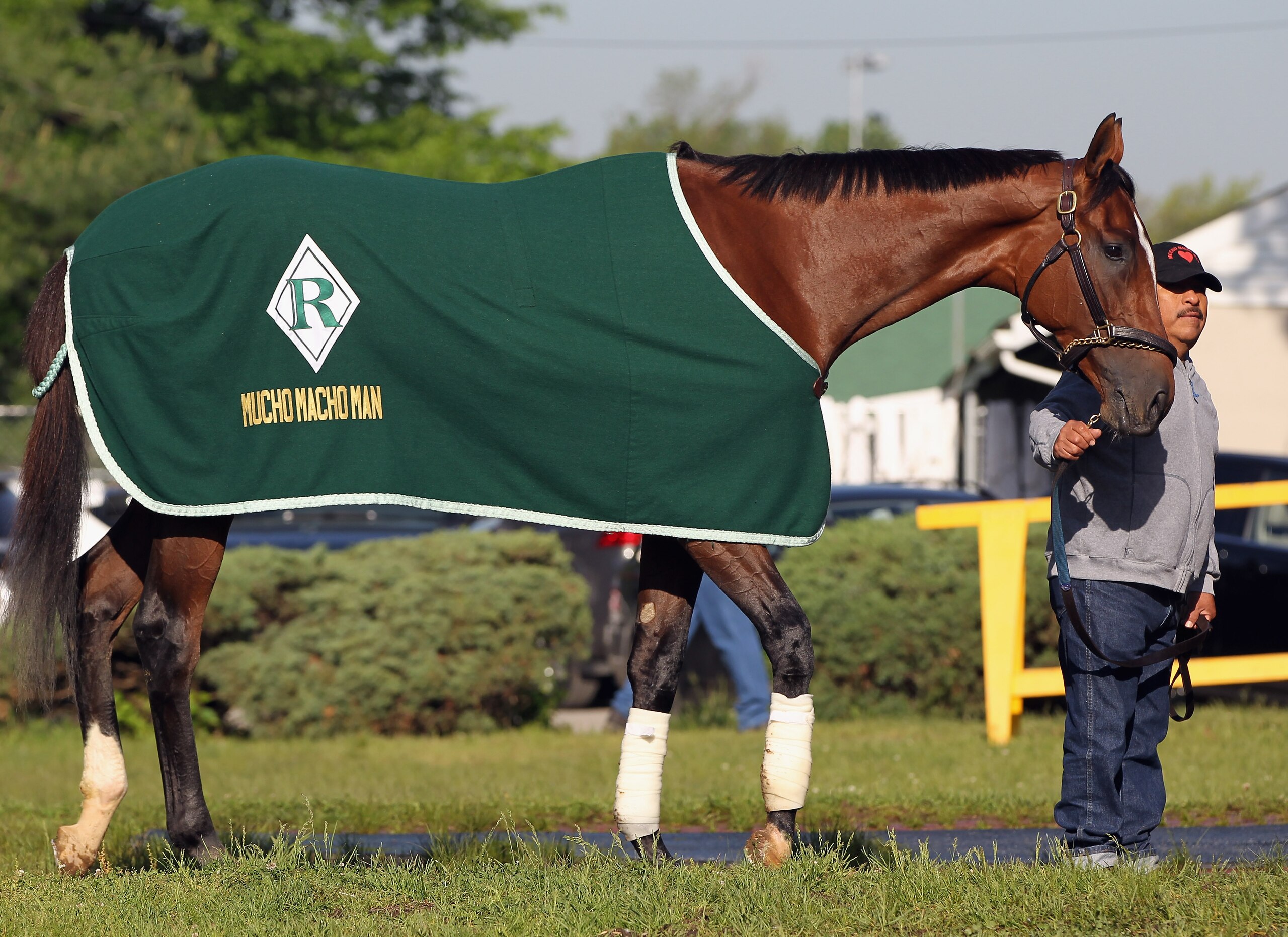 LOUISVILLE, KY - MAY 05:  Kentucky Derby entrant Mucho Macho Man is walked during morning workouts in preparation for the 137th running of the Kentucky Derby on May 5, 2011 at Churchill Downs in Louisville, Kentucky.  (Photo by Jamie Squire/Getty Images)