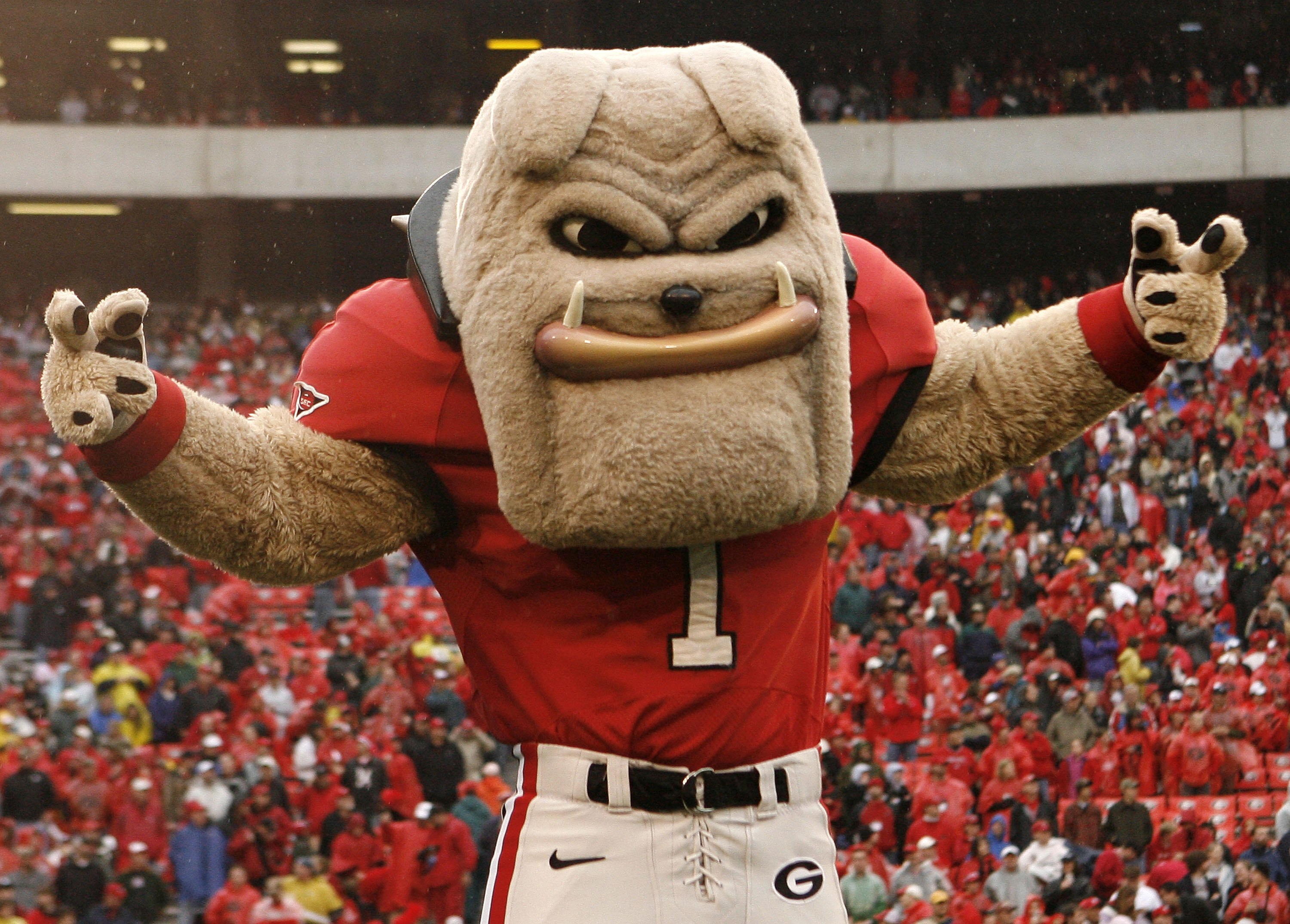 ATHENS, GA - NOVEMBER 29:  Georgia Bulldogs mascot Hairy Dawg poses before the game against the Georgia Tech Yellow Jackets at Sanford Stadium on November 29, 2008 in Athens, Georgia.  The Yellow Jackets defeated the Bulldogs 45-42.  (Photo by Mike Zarril