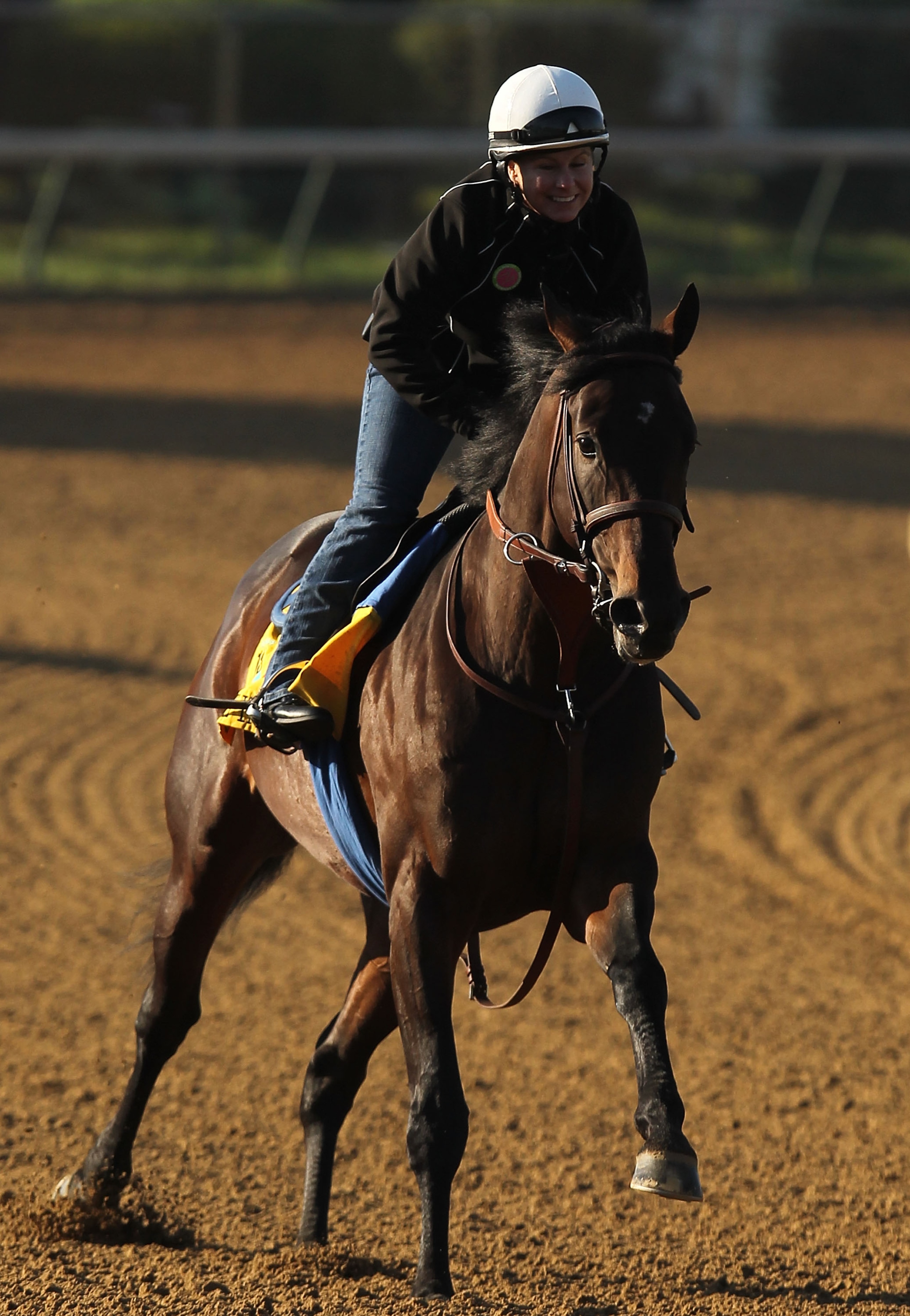 LOUISVILLE, KY - MAY 05: Midnight Interlude trains during the morning exercise session in preparation for the 137th Kentucky Derby at Churchill Downs on May 5, 2011 in Louisville, Kentucky. (Photo by Al Bello/Getty Images) LOUISVILLE, KY - MAY 05: Midnight Interlude trains during the morning exercise session in preparation for the 137th Kentucky Derby at Churchill Downs on May 5, 2011 in Louisville, Kentucky. (Photo by Al Bello/Getty Images)