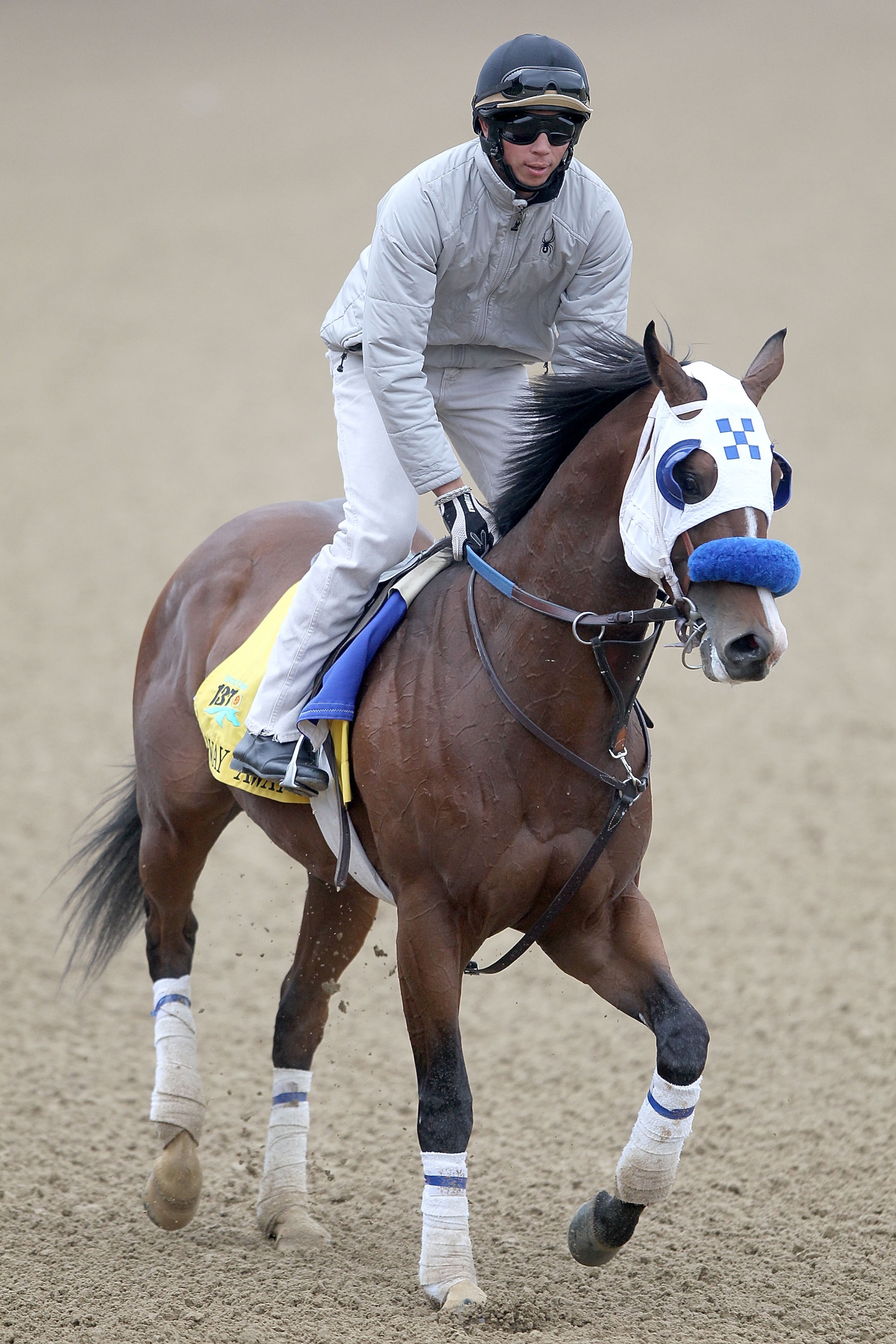 LOUISVILLE, KY - MAY 04: Sway Away trains during the morning exercise runs session in preparation for the 137th Kentucky Derby at Churchill Downs on May 4, 2011 in Louisville, Kentucky. (Photo by Matthew Stockman/Getty Images) LOUISVILLE, KY - MAY 04: Sway Away trains during the morning exercise runs session in preparation for the 137th Kentucky Derby at Churchill Downs on May 4, 2011 in Louisville, Kentucky. (Photo by Matthew Stockman/Getty Images)