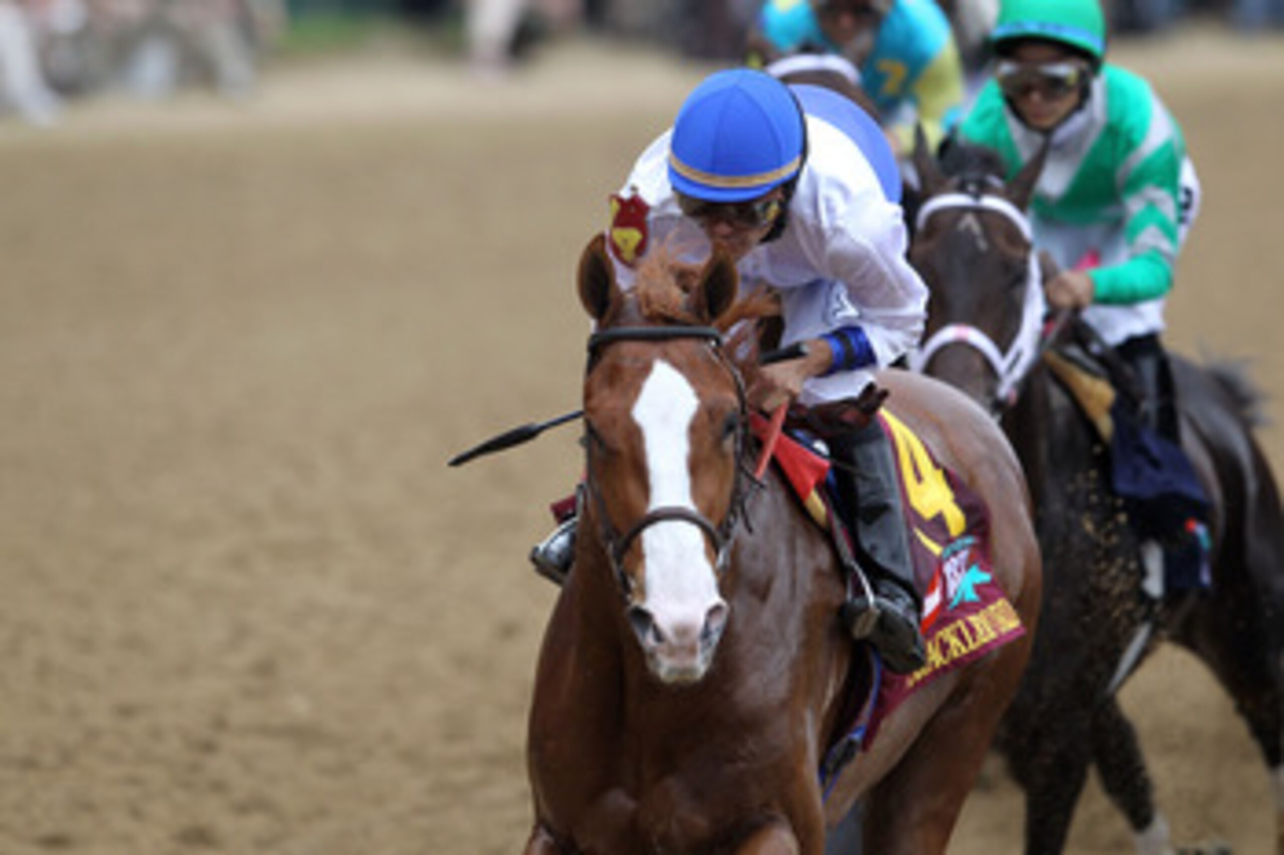 LOUISVILLE, KY - MAY 07: Jockey Jesus L. Castanon (C), riding Shackleford #14, leads the field down the stretch at the start of the 137th Kentucky Derby at Churchill Downs on May 7, 2011 in Louisville, Kentucky. (Photo by Matthew Stockman/Getty Images) LOUISVILLE, KY - MAY 07: Jockey Jesus L. Castanon (C), riding Shackleford #14, leads the field down the stretch at the start of the 137th Kentucky Derby at Churchill Downs on May 7, 2011 in Louisville, Kentucky. (Photo by Matthew Stockman/Getty Images)