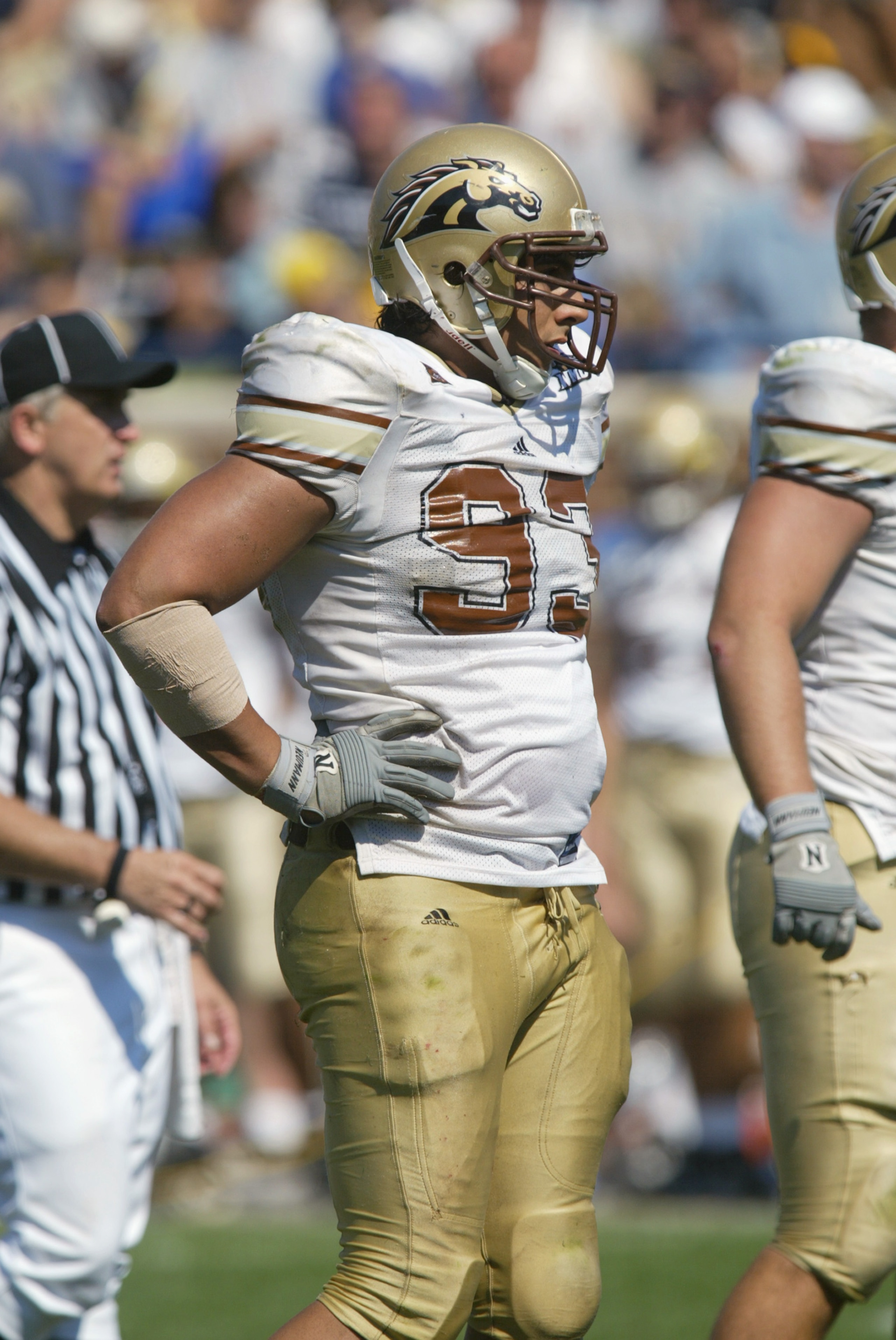 ANN ARBOR, MI - SEPTEMBER 7:  Jason Babin #93 of the Western Michigan Broncos looks on against the Michigan Wolverines on September 7, 2002 at Michigan Stadium in Ann Arbor, Michigan.  The Wolverines won 35-12.  (Photo by Danny Moloshok/Getty Images)