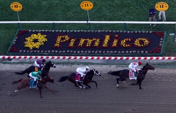 BALTIMORE - MAY 15:  First Dude, ridden by Ramon Dominguez #11 leads Super Saver, ridden by Calvin Borel #6, Caracortado, ridden by Paul Atkinson #9, and Jackson Bend , ridden by Mike Smith #8 on the font strech during the 135th running of the Preakness S