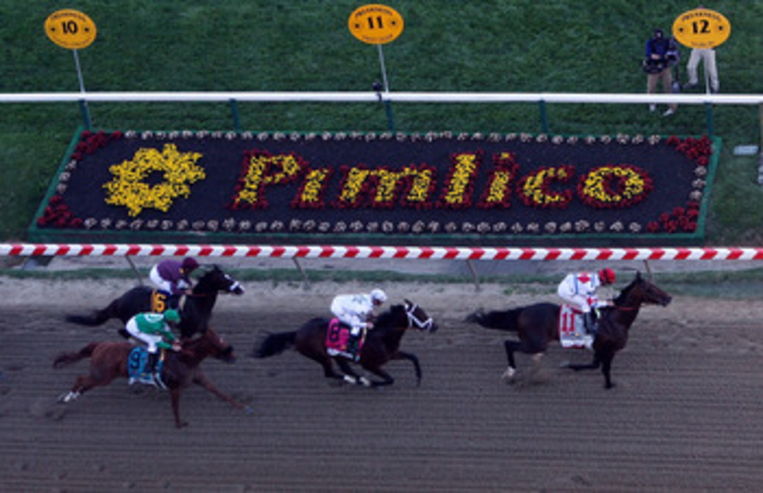 BALTIMORE - MAY 15:  First Dude, ridden by Ramon Dominguez #11 leads Super Saver, ridden by Calvin Borel #6, Caracortado, ridden by Paul Atkinson #9, and Jackson Bend , ridden by Mike Smith #8 on the font strech during the 135th running of the Preakness S