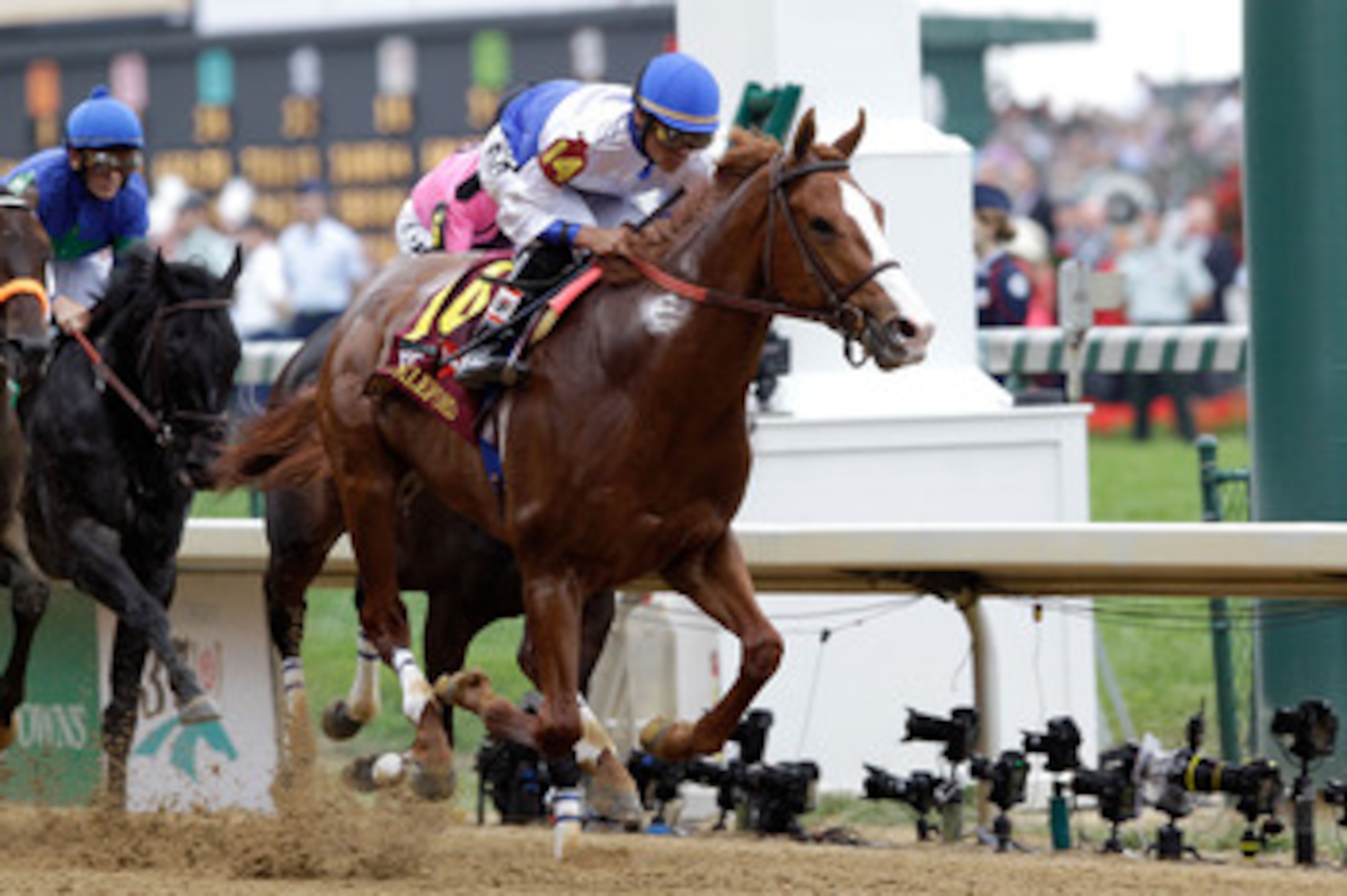 LOUISVILLE, KY - MAY 07:  Jockey Jesus L. Castanon, riding Shackleford #14, leads the field down the front stretch at the start of the 137th Kentucky Derby at Churchill Downs on May 7, 2011 in Louisville, Kentucky.  (Photo by Rob Carr/Getty Images)