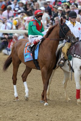 LOUISVILLE, KY - MAY 07:  Jockey John Velazquez, riding Animal Kingdom #16, is escourted onto the track by an outrider during the 137th Kentucky Derby at Churchill Downs on May 7, 2011 in Louisville, Kentucky.  (Photo by Matthew Stockman/Getty Images)