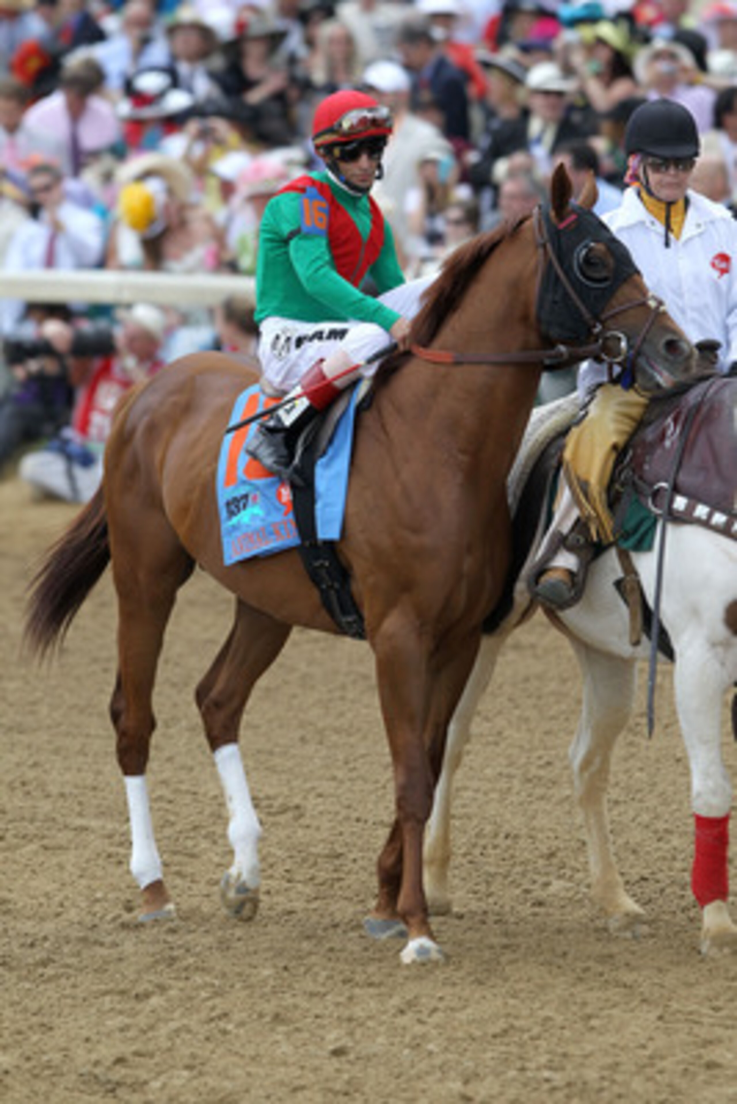 LOUISVILLE, KY - MAY 07:  Jockey John Velazquez, riding Animal Kingdom #16, is escourted onto the track by an outrider during the 137th Kentucky Derby at Churchill Downs on May 7, 2011 in Louisville, Kentucky.  (Photo by Matthew Stockman/Getty Images)