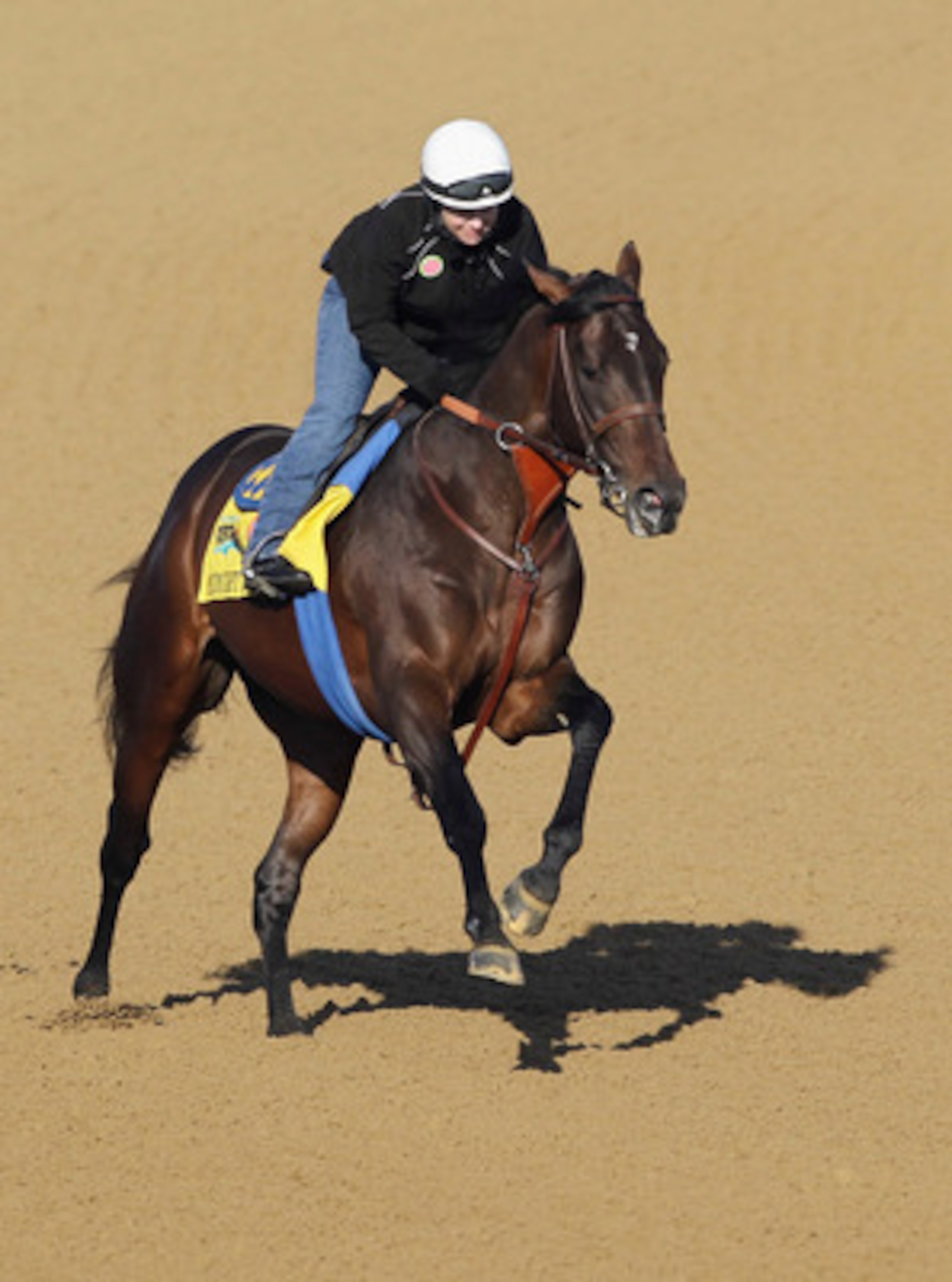 LOUISVILLE, KY - MAY 05: Kentucky Derby entrant Midnight Interlude works on the track preparation for the 137th Kentucky Derby at Churchill Downs on May 5, 2011 in Louisville, Kentucky. (Photo by Rob Carr/Getty Images) LOUISVILLE, KY - MAY 05: Kentucky Derby entrant Midnight Interlude works on the track preparation for the 137th Kentucky Derby at Churchill Downs on May 5, 2011 in Louisville, Kentucky. (Photo by Rob Carr/Getty Images)