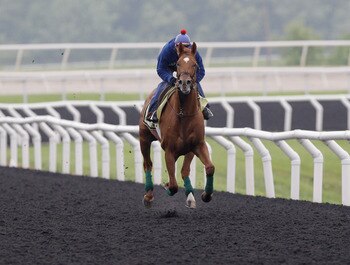 ELKTON, MD - MAY 17:  Exercise rider David Nava takes Kentucky Derby winner and Preakness entrant Animal Kingdom over the track at the Fair Hill Training Center on May 17, 2011 in Elkton, Maryland. Animal Kingdom is training for Saturday's 136th Preakness