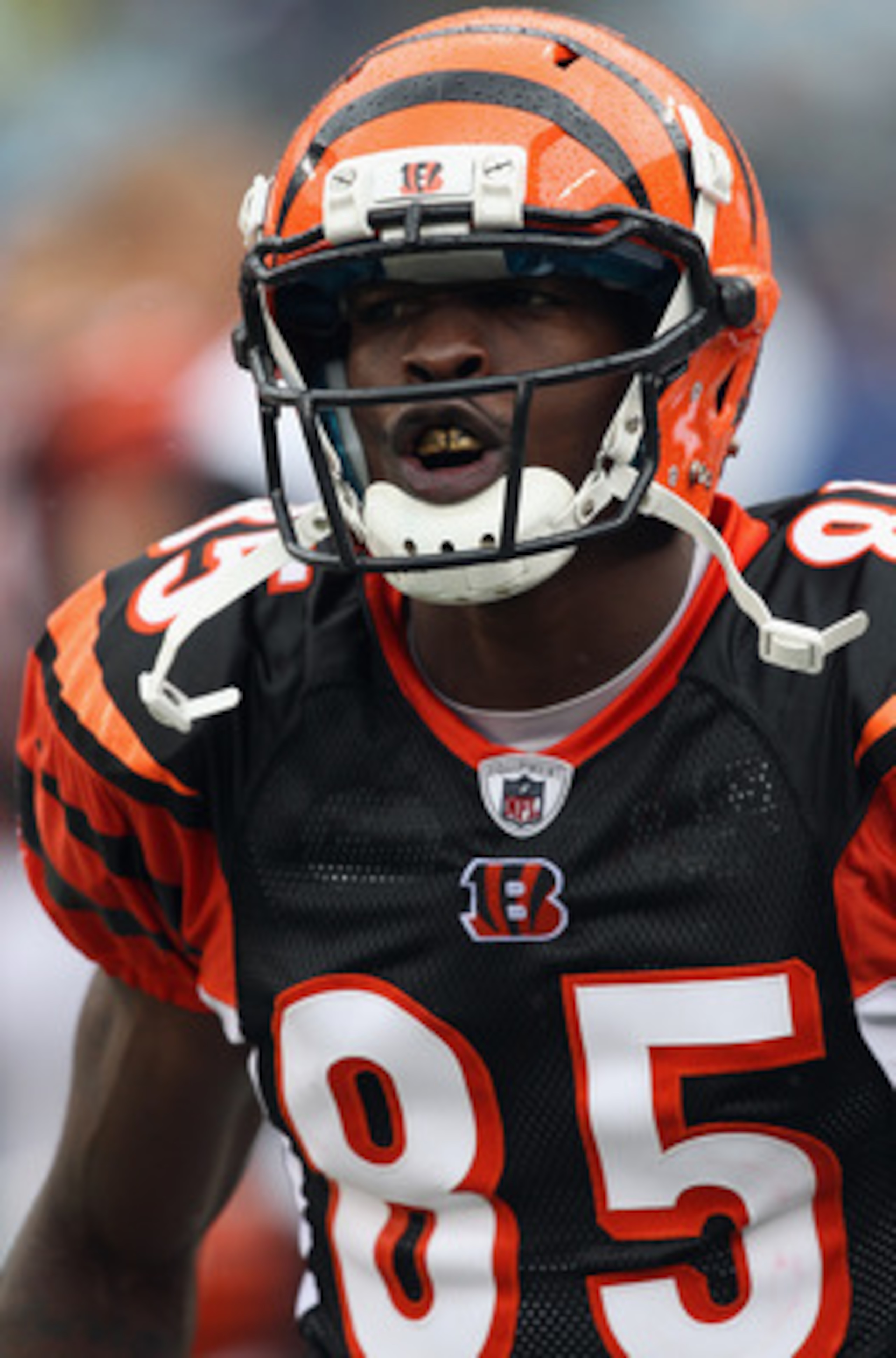 CHARLOTTE, NC - SEPTEMBER 26:  Chad Ochocinco #85 of the Cincinnati Bengals reacts against the Carolina Panthers during their game at Bank of America Stadium on September 26, 2010 in Charlotte, North Carolina.  (Photo by Streeter Lecka/Getty Images)