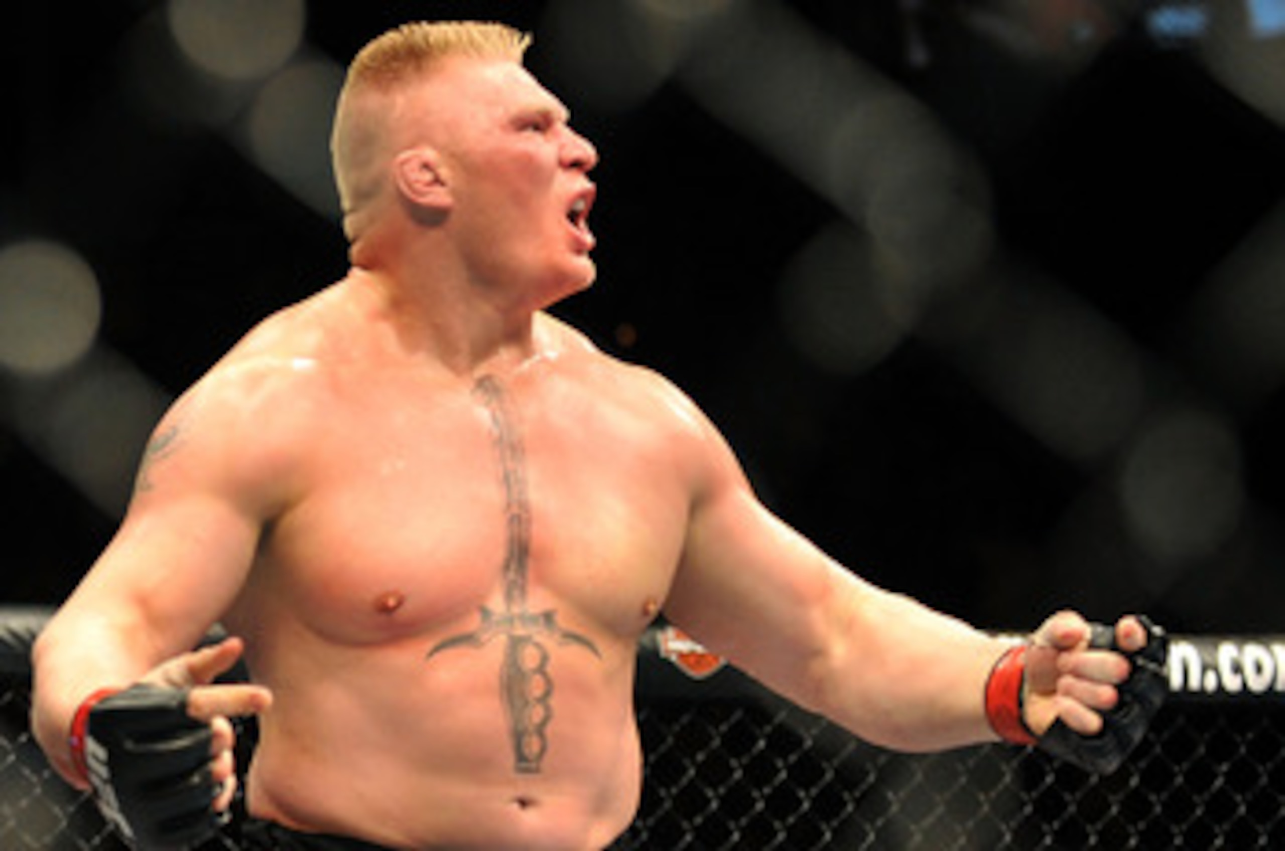 LAS VEGAS - JULY 11:  Brock Lesnar reacts after knocking out Frank Mir during their heavyweight title bout during UFC 100 on July 11, 2009 in Las Vegas, Nevada.  (Photo by Jon Kopaloff/Getty Images)