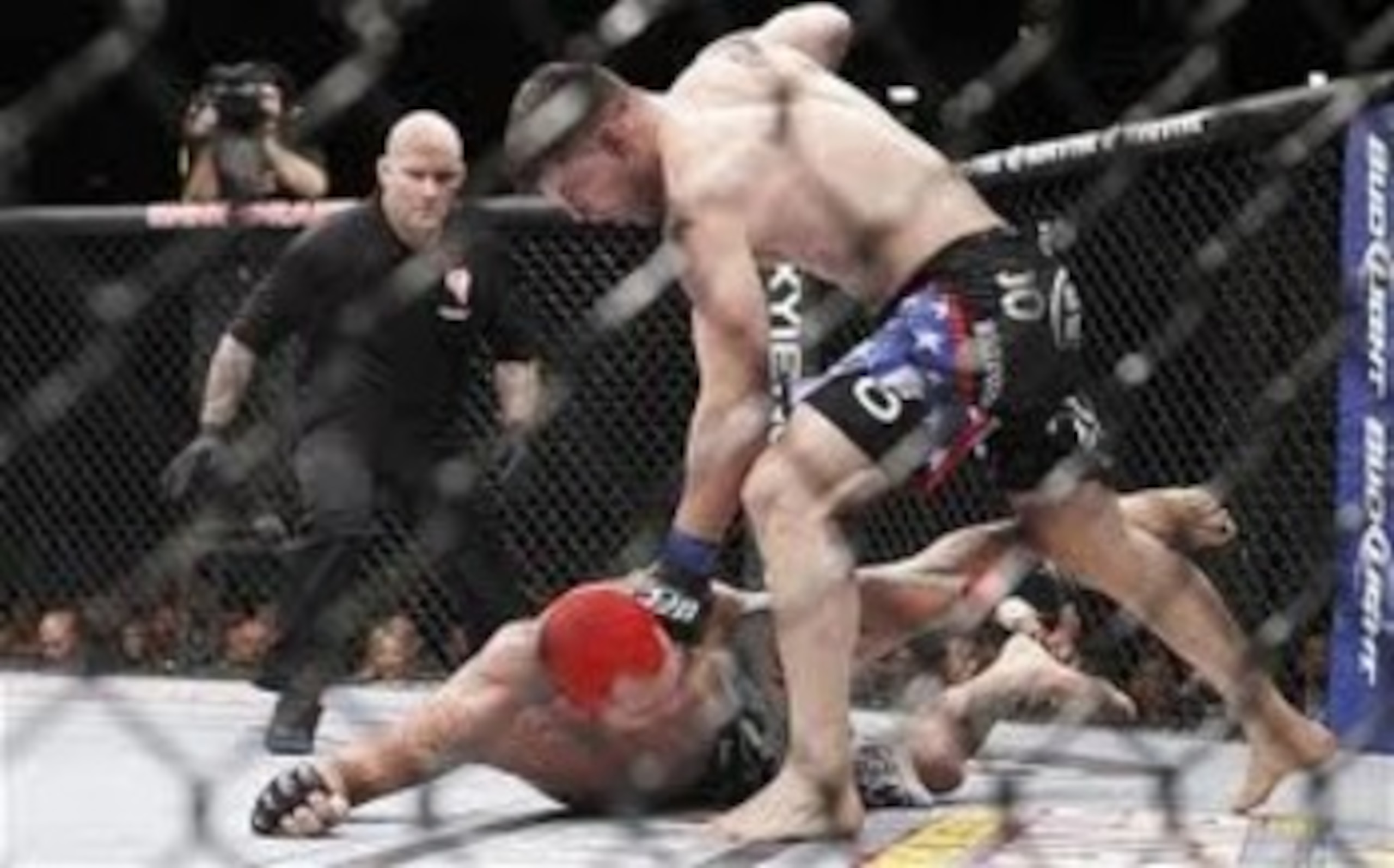 Brian Stann unloading on a helpless Chris Leben at UFC 125