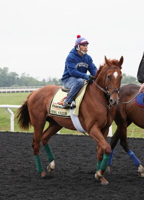 ELKTON, MD - MAY 17:  Assistant trainer David Rock (R) leads  Kentucky Derby winner and Preakness entrant Animal Kingdom with exercise rider David Nava up (L) around the track at the Fair Hill Training Center on May 17, 2011 in Elkton, Maryland. Animal Ki