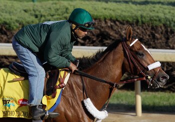LOUISVILLE, KY - MAY 05:  Kentucky Derby entrant Mucho Macho Man works on the track in preparation for the 137th Kentucky Derby at Churchill Downs on May 5, 2011 in Louisville, Kentucky.  (Photo by Rob Carr/Getty Images)