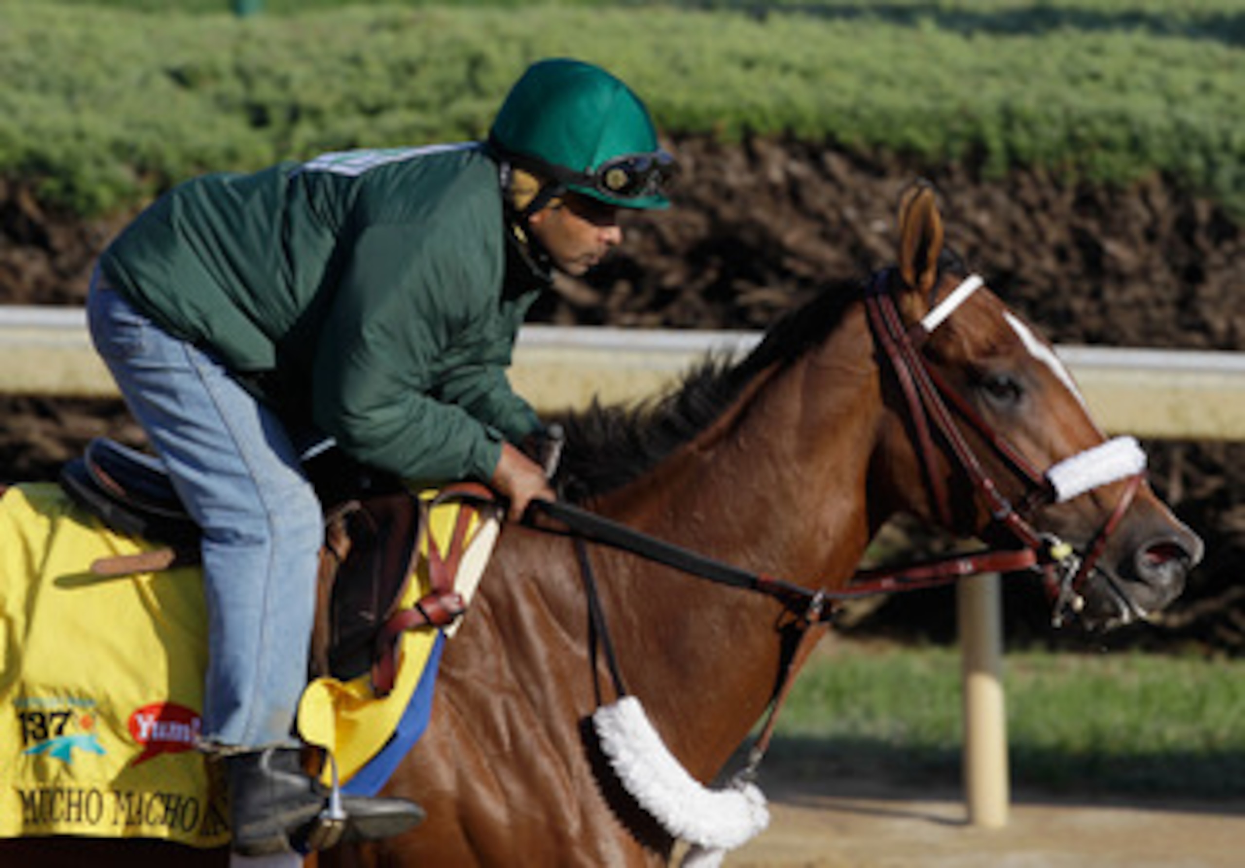 LOUISVILLE, KY - MAY 05:  Kentucky Derby entrant Mucho Macho Man works on the track in preparation for the 137th Kentucky Derby at Churchill Downs on May 5, 2011 in Louisville, Kentucky.  (Photo by Rob Carr/Getty Images)