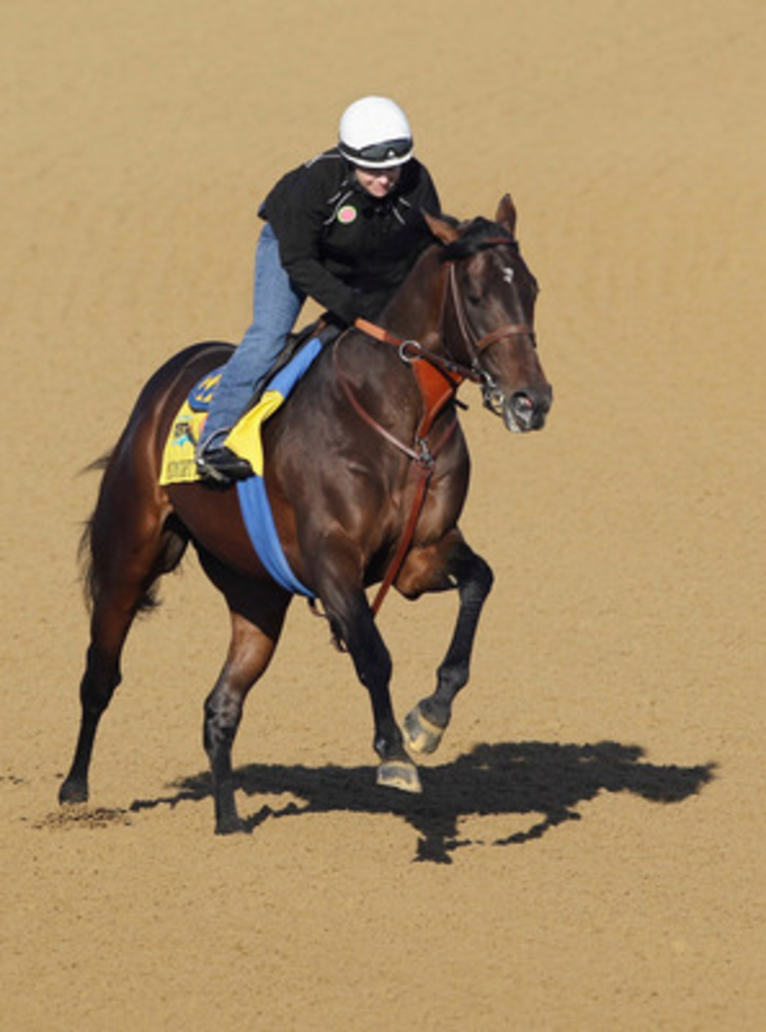 LOUISVILLE, KY - MAY 05:  Kentucky Derby entrant Midnight Interlude works on the track  preparation for the 137th Kentucky Derby at Churchill Downs on May 5, 2011 in Louisville, Kentucky.  (Photo by Rob Carr/Getty Images)