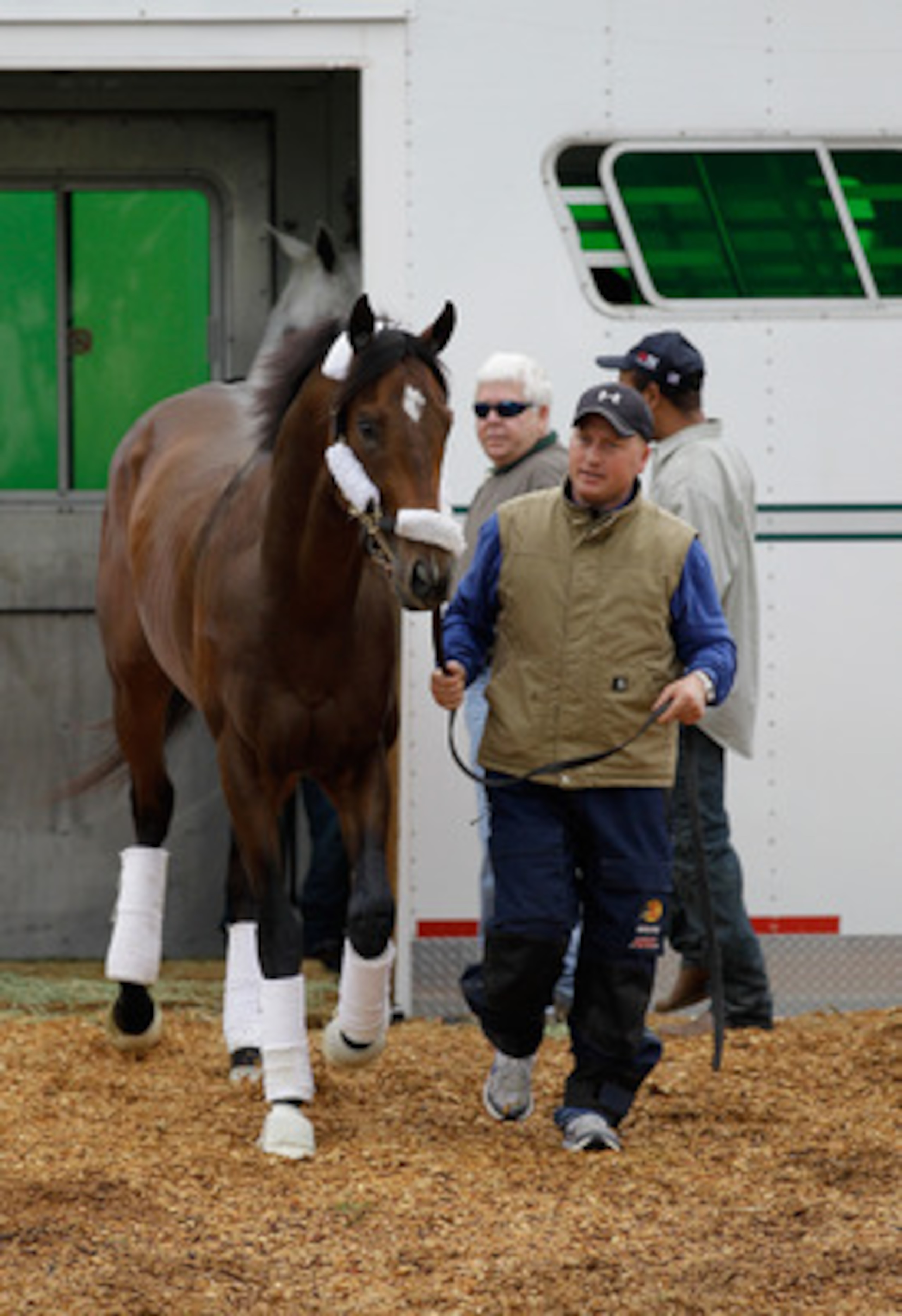 BALTIMORE, MD - MAY 18: Assistant trainer Scott Blasi leads Preakness entrant Astrology to the barn  at Pimlico Race Course on May 18, 2011 in Baltimore, Maryland. The 136th running of the Preakness Stakes will be run on Saturday. (Photo by Rob Carr/Getty