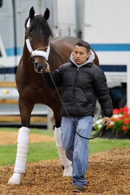 BALTIMORE, MD - MAY 18:  Hot walker Noel Antonio leads Preakness entrant Dance City to the barn after arriving at Pimlico Race Course on May 18, 2011 in Baltimore, Maryland. The 136th running of the Preakness Stakes will be run on Saturday.  (Photo by Rob