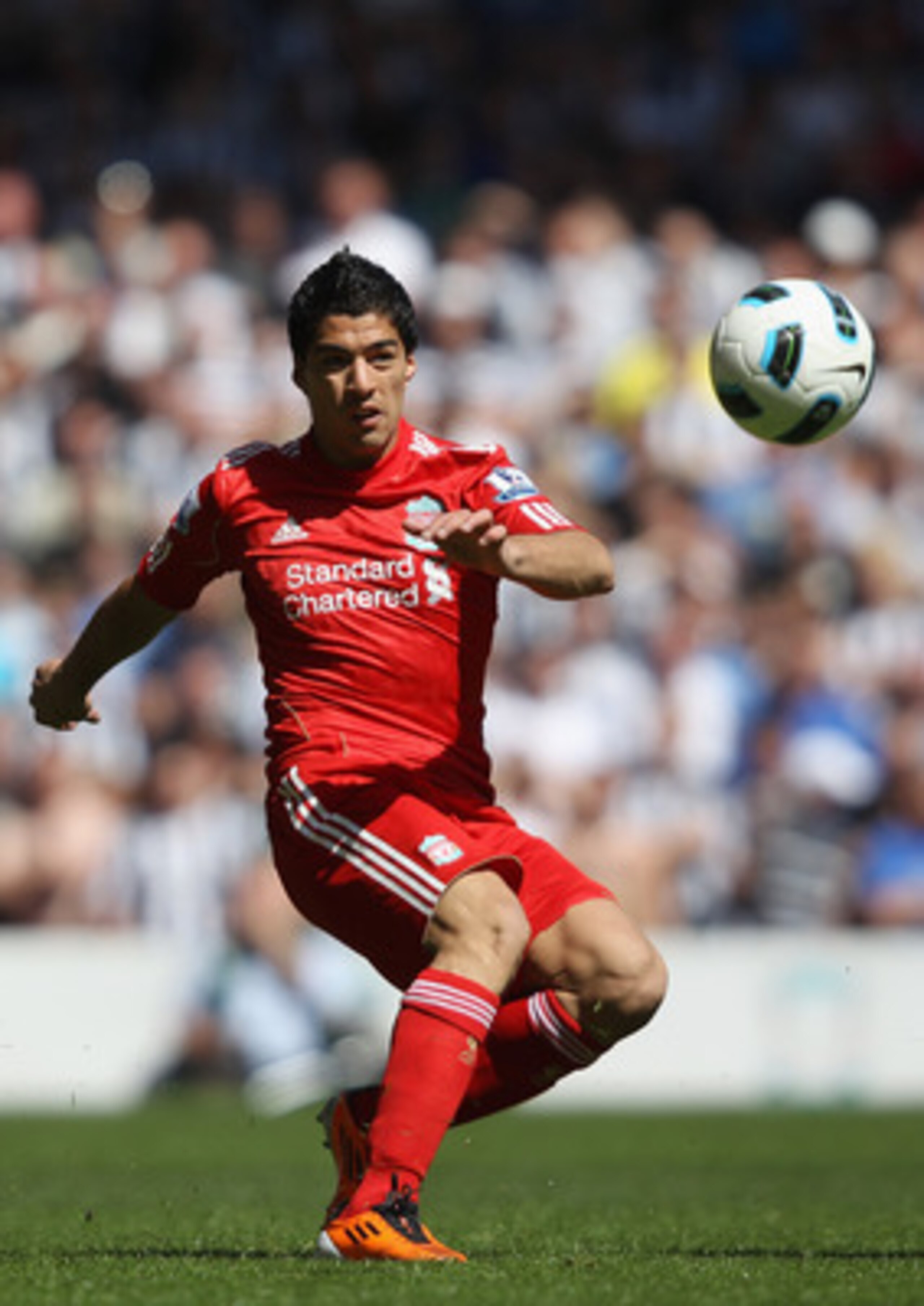 LIVERPOOL, ENGLAND - MAY 01:  Luis Suarez of Liverpool in action during the Barclays Premier League match between Liverpool  and Newcastle United at Anfield on May 1, 2011 in Liverpool, England.  (Photo by Clive Brunskill/Getty Images)
