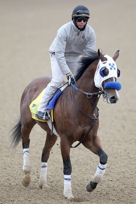 LOUISVILLE, KY - MAY 04:  Sway Away trains during the morning exercise runs session in preparation for the 137th Kentucky Derby at Churchill Downs on May 4, 2011 in Louisville, Kentucky.  (Photo by Matthew Stockman/Getty Images)