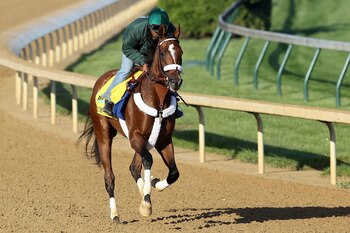 LOUISVILLE, KY - MAY 05:  Mucho Macho Man trains during the morning exercise session in preparation for the 137th Kentucky Derby at Churchill Downs on May 5, 2011 in Louisville, Kentucky.  (Photo by Matthew Stockman/Getty Images)