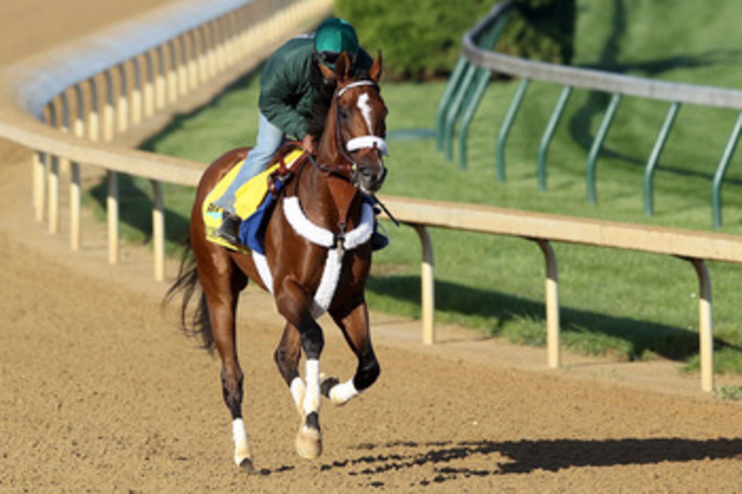LOUISVILLE, KY - MAY 05:  Mucho Macho Man trains during the morning exercise session in preparation for the 137th Kentucky Derby at Churchill Downs on May 5, 2011 in Louisville, Kentucky.  (Photo by Matthew Stockman/Getty Images)