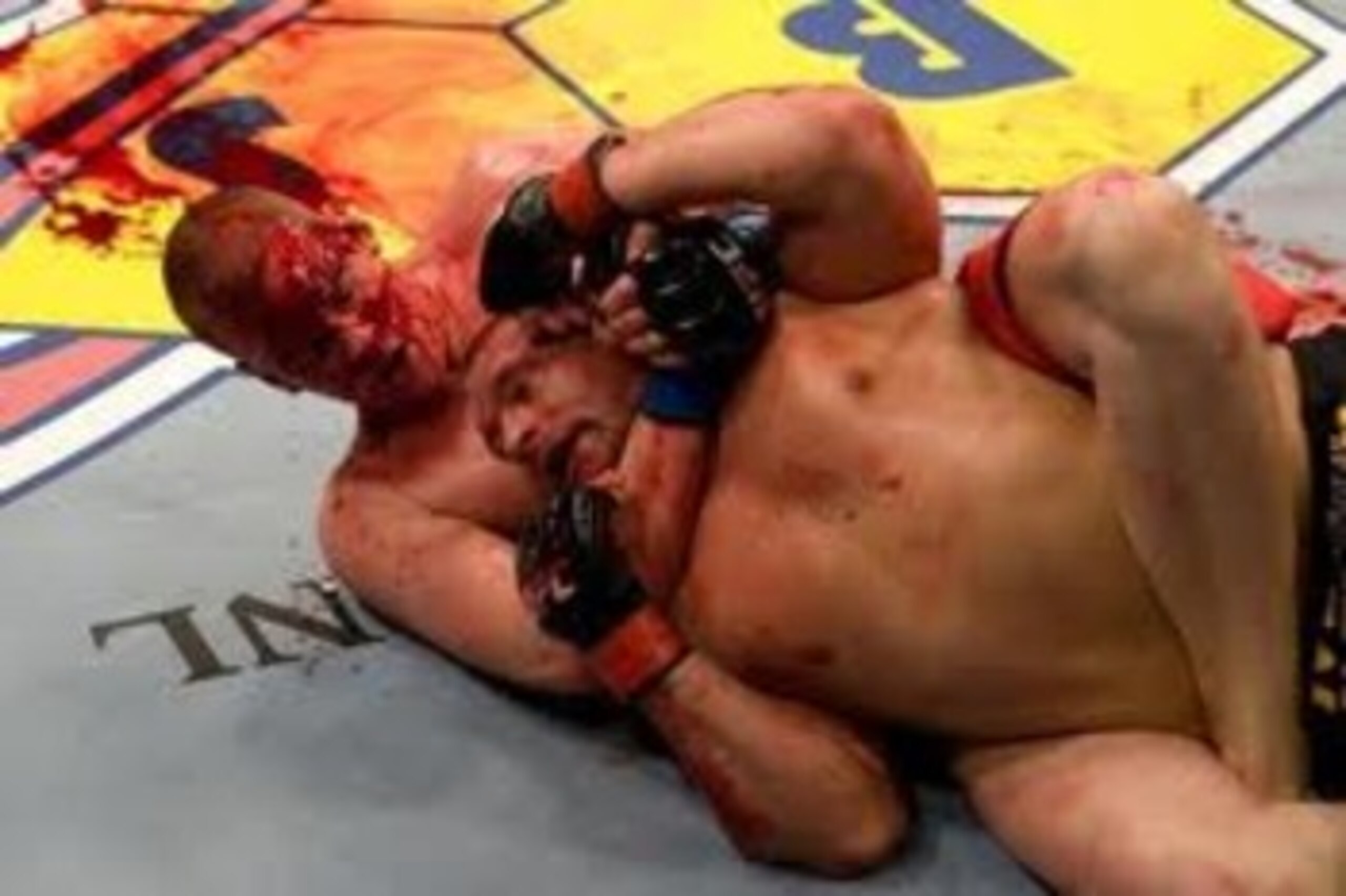 Stefan Struve earning a tapout victory via rear-naked choke