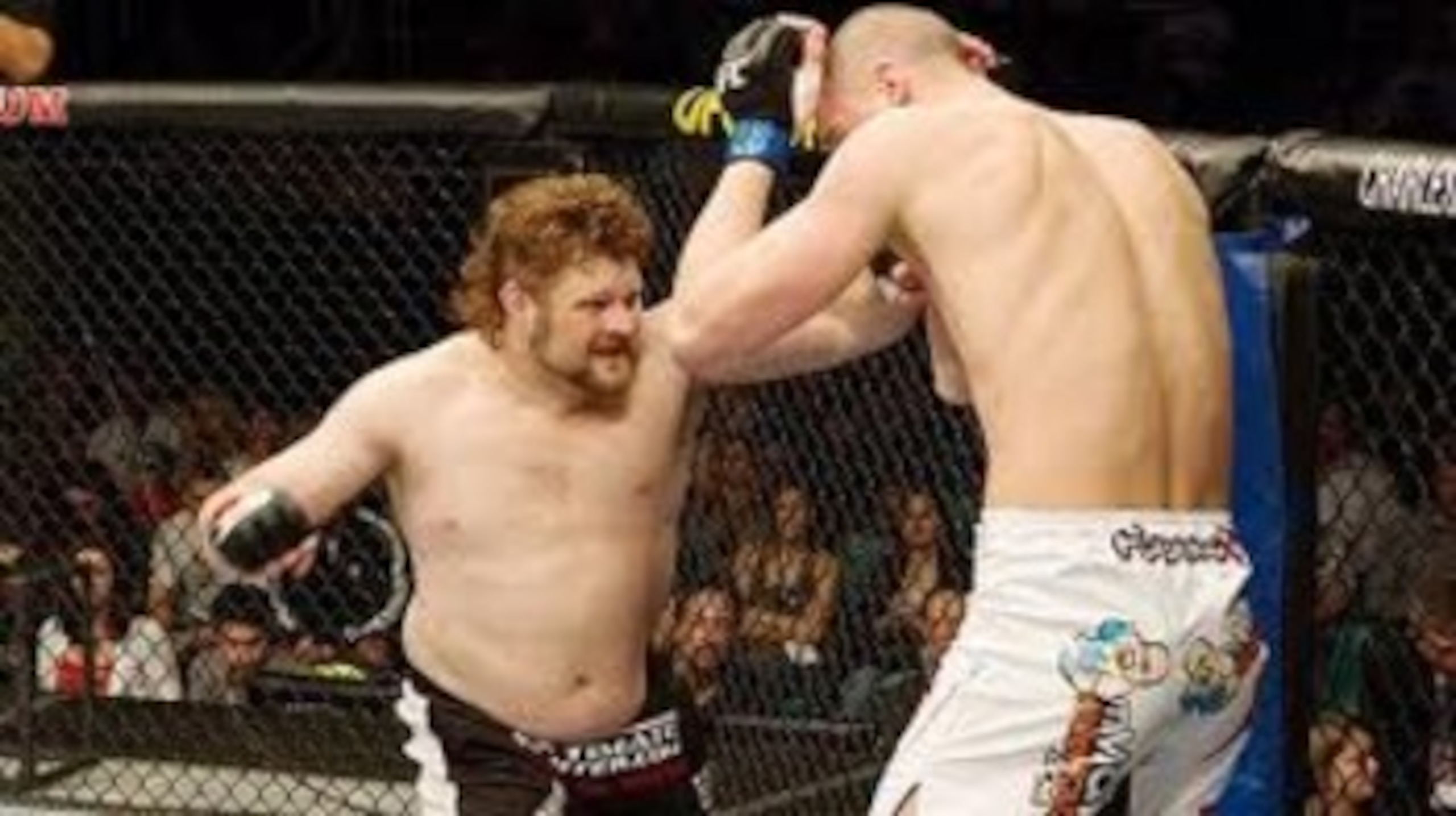 Roy Nelson unloading a barrage of punches on Stefan Struve