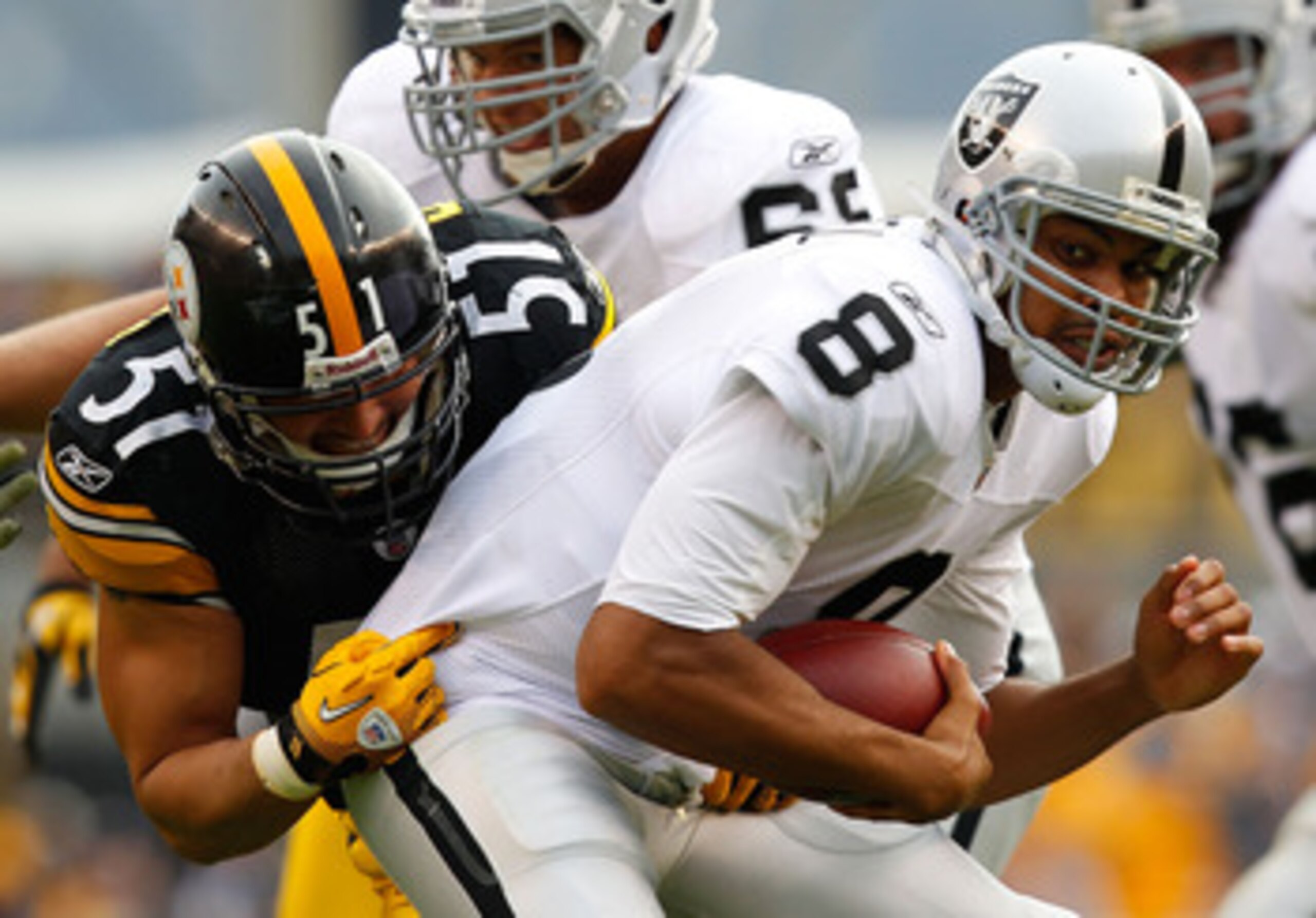 PITTSBURGH - NOVEMBER 21:  Jason Campbell #8 of the Oakland Raiders is sacked by James Farrior #51 of the Pittsburgh Steelers during the game on November 21, 2010 at Heinz Field in Pittsburgh, Pennsylvania.  (Photo by Jared Wickerham/Getty Images)