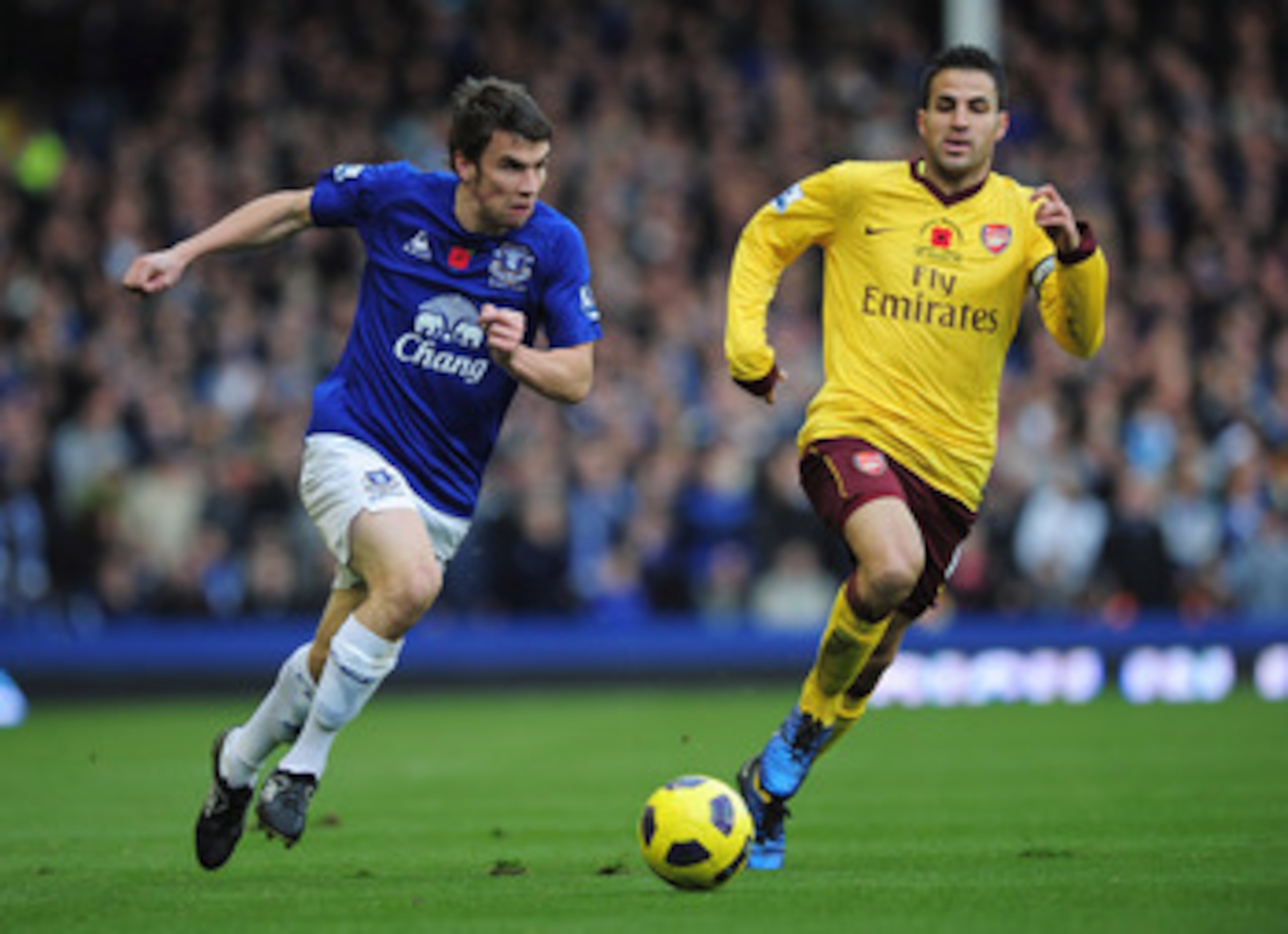 LIVERPOOL, ENGLAND - NOVEMBER 14:  Seamus Coleman of Everton breaks away from Cesc Fabregas of Arsenal during the Barclays Premier League match between Everton and Arsenal at Goodison Park on November 14, 2010 in Liverpool, England.  (Photo by Shaun Botte