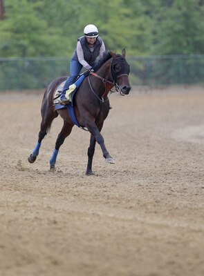 BALTIMORE, MD - MAY 20: Exercise rider Dana Barnes takes Preakness entrant Midnight Interlude over the track at Pimlico Race Course on May 20, 2011 in Baltimore, Maryland. The 136th running of the Preakness Stakes will take place on May 21.   (Photo by Ro