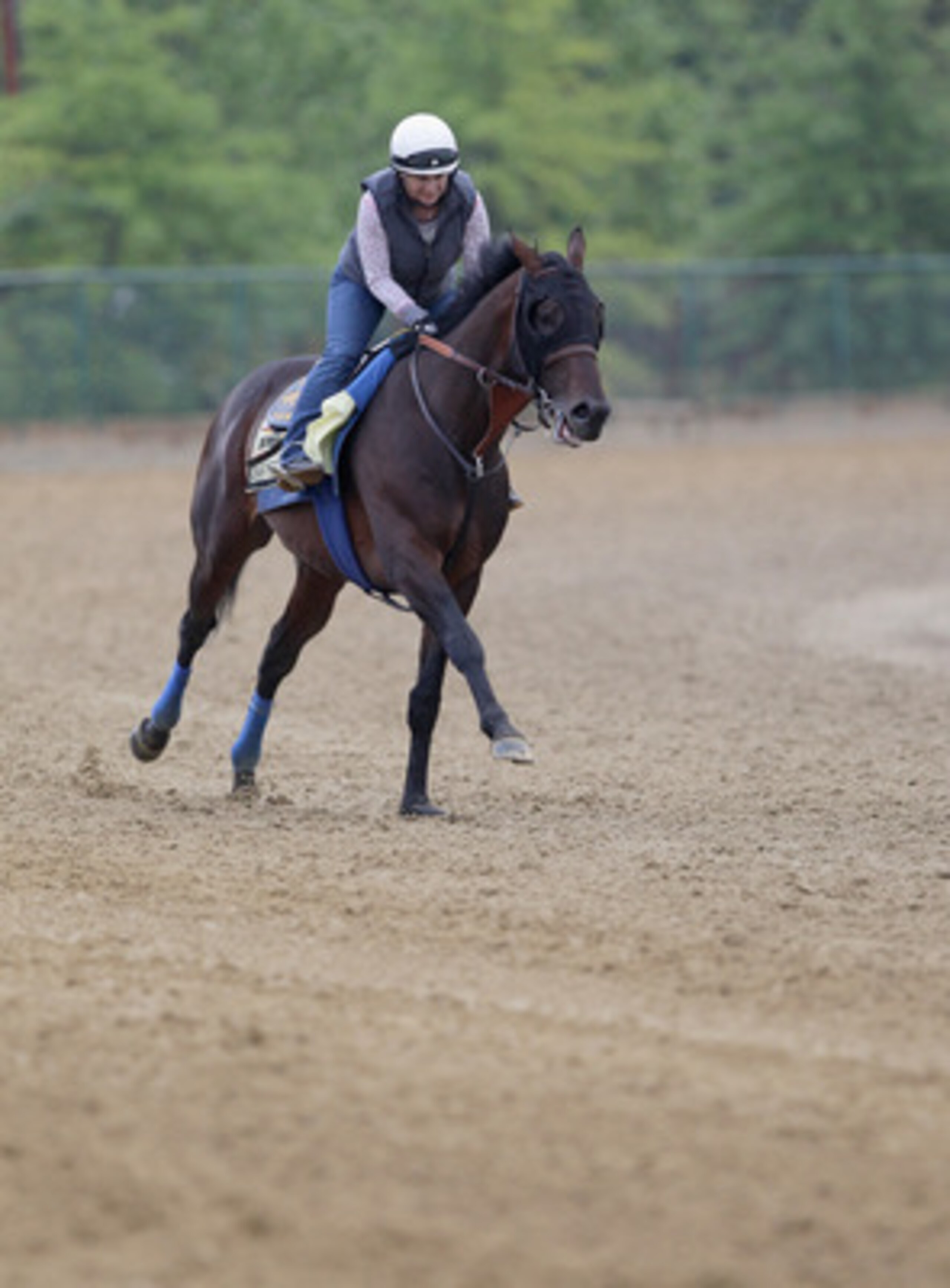 BALTIMORE, MD - MAY 20: Exercise rider Dana Barnes takes Preakness entrant Midnight Interlude over the track at Pimlico Race Course on May 20, 2011 in Baltimore, Maryland. The 136th running of the Preakness Stakes will take place on May 21.   (Photo by Ro