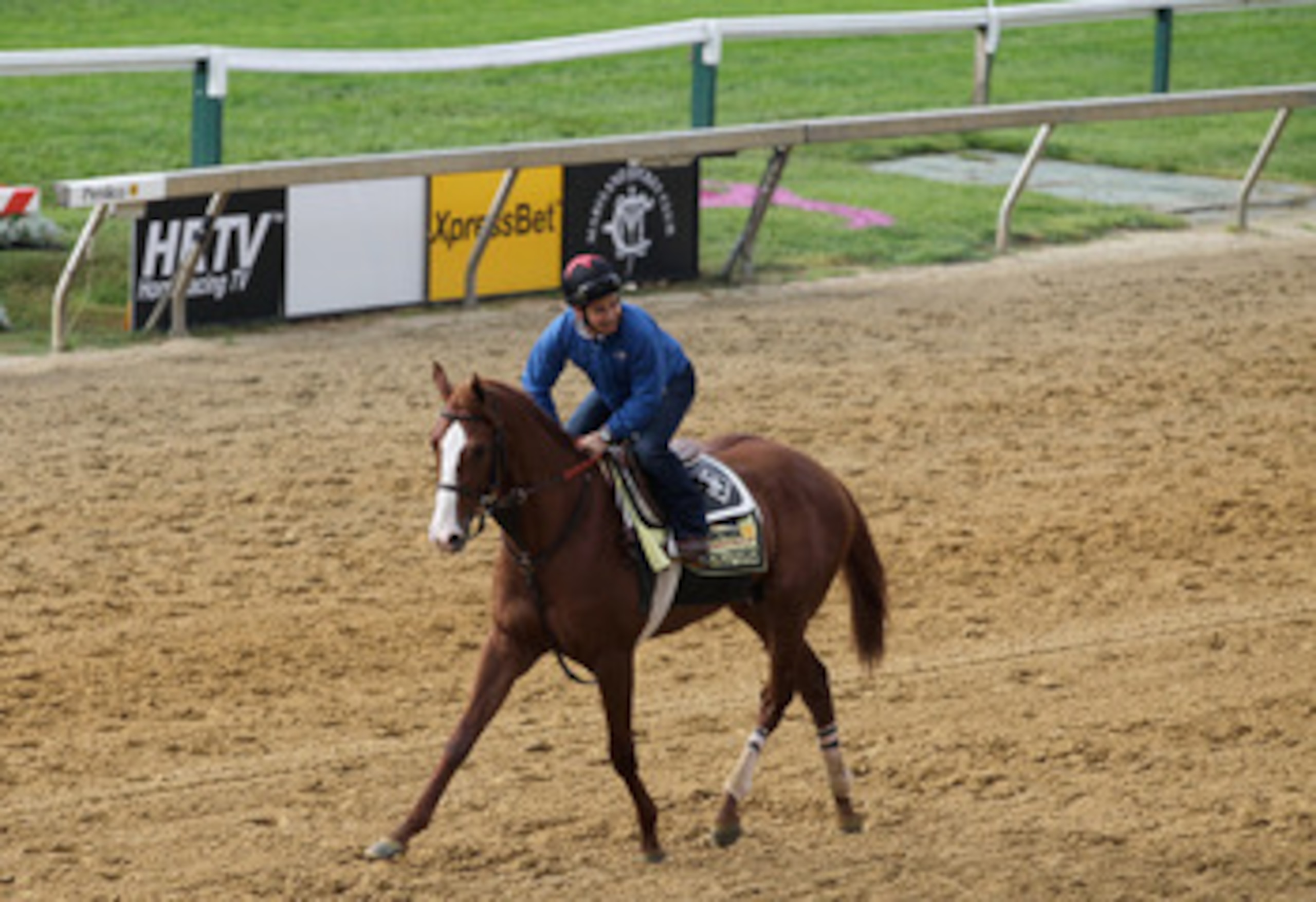 BALTIMORE, MD - MAY 20:  Exercise rider Fastino Aguilar takes Preakness entrant Shackleford over the track at Pimlico Race Course on May 20, 2011 in Baltimore.The 136th running of the Preakness Stakes will be run on Saturday.  (Photo by Rob Carr/Getty Ima