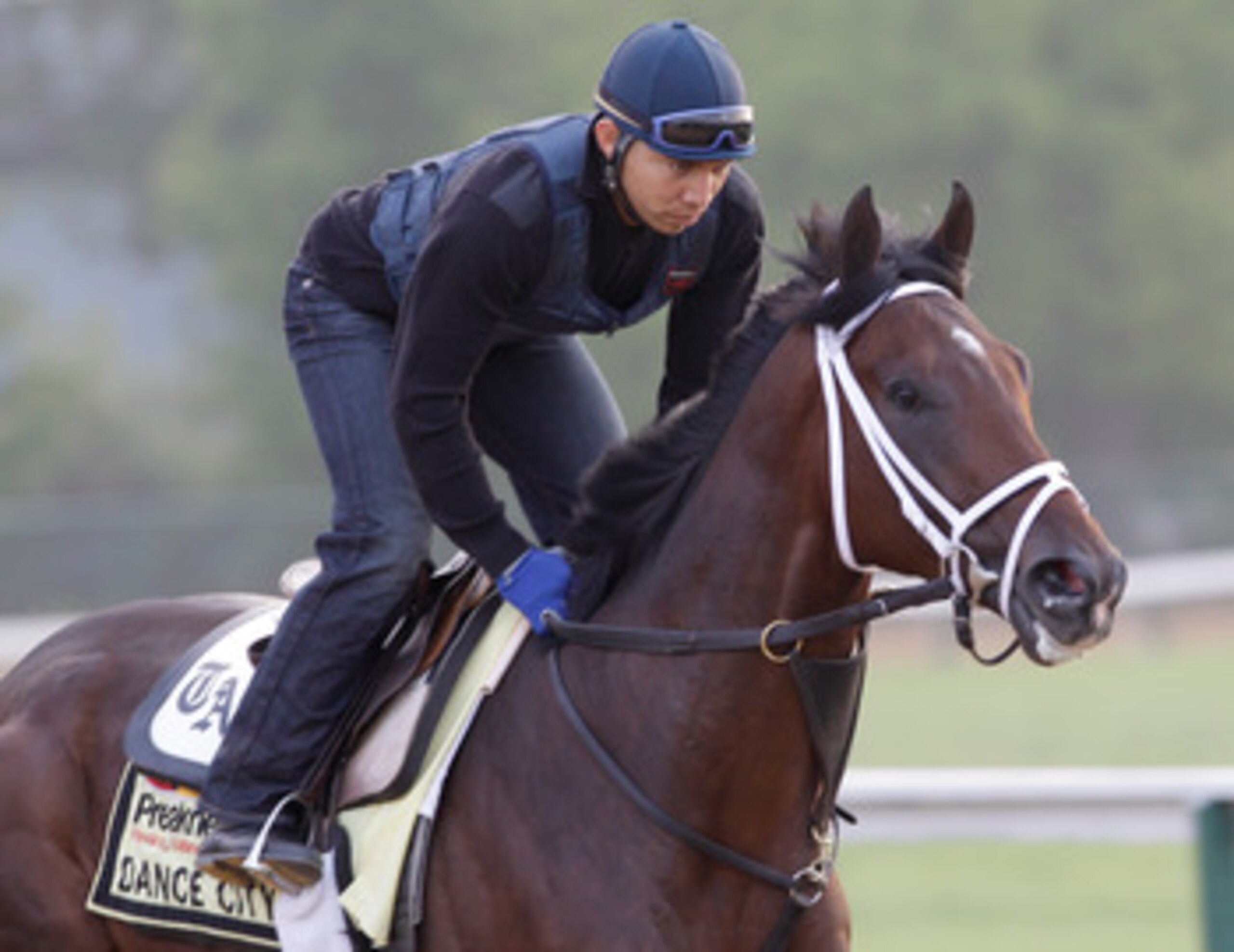 BALTIMORE, MD - MAY 20: Exercise rider Obed Perez takes Preakness entrant Dance City over the track at Pimlico Race Course on May 20, 2011 in Baltimore, Maryland. The 136th running of the Preakness Stakes will take place on May 21.   (Photo by Rob Carr/Ge