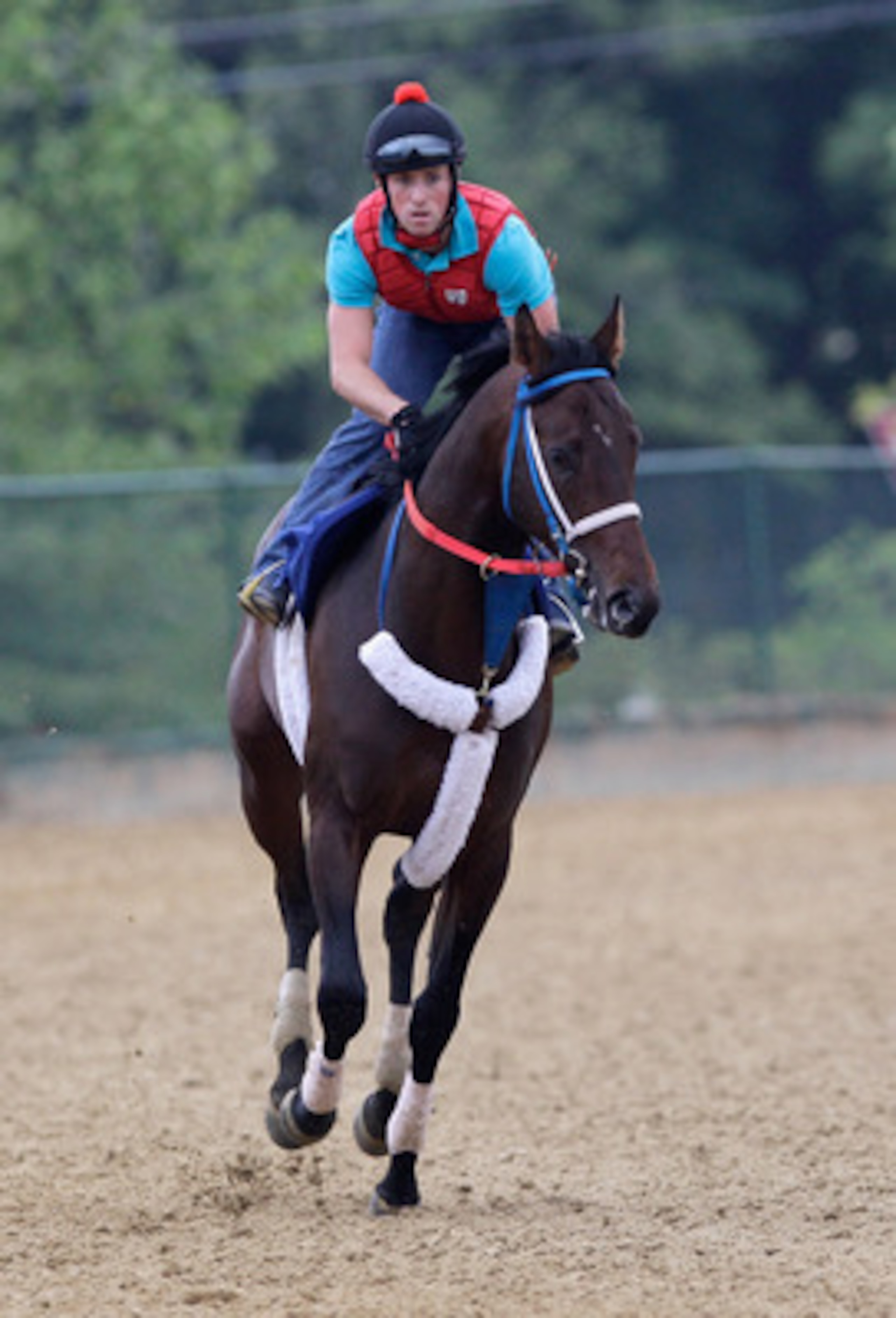 BALTIMORE, MD - MAY 20: Exercise rider Destin Heath takes Preakness entrant Isn't He Perfect over the track at Pimlico Race Course on May 20, 2011 in Baltimore, Maryland. The 136th running of the Preakness Stakes will be run on Saturday.  (Photo by Rob Ca