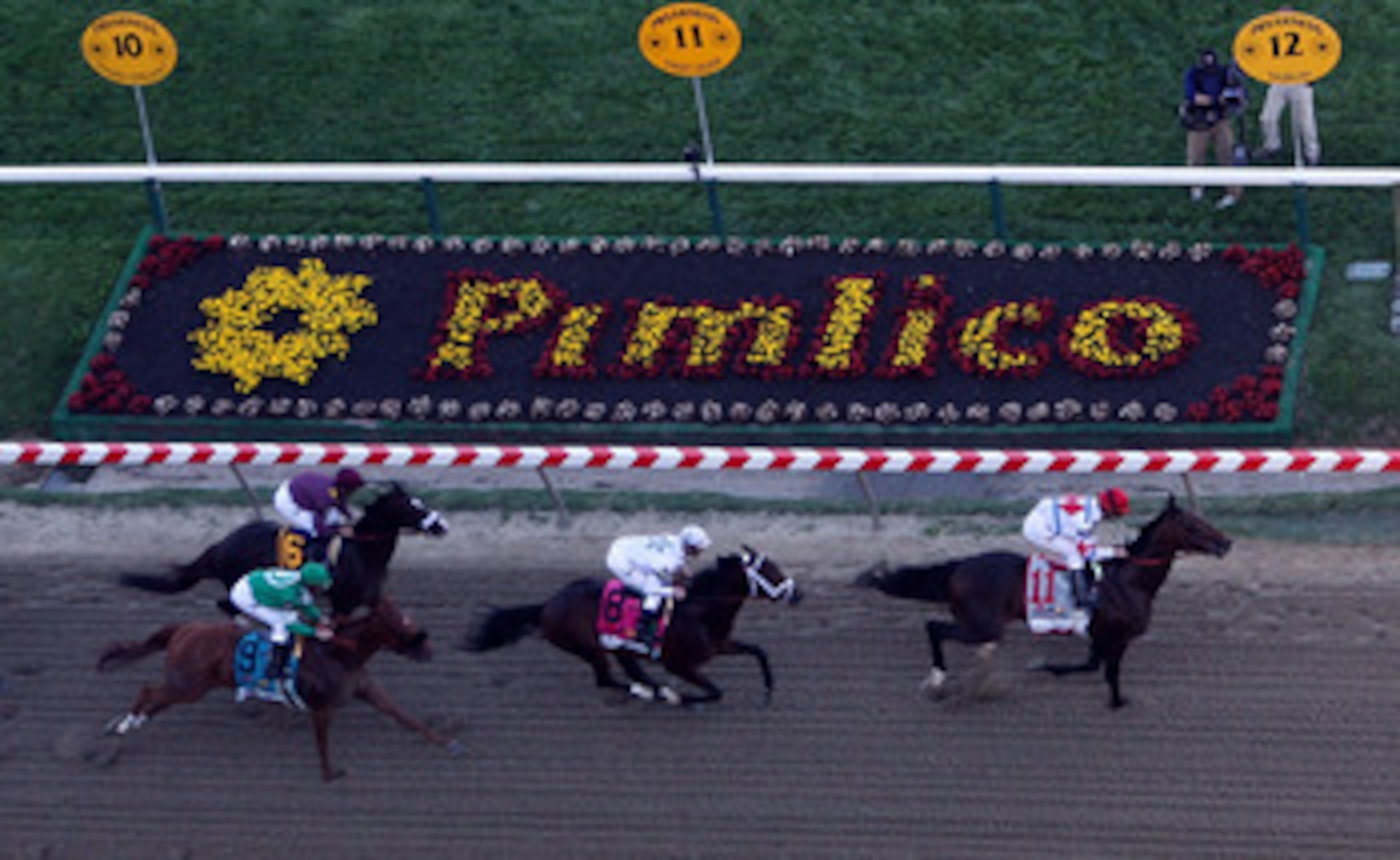 BALTIMORE - MAY 15:  First Dude, ridden by Ramon Dominguez #11 leads Super Saver, ridden by Calvin Borel #6, Caracortado, ridden by Paul Atkinson #9, and Jackson Bend , ridden by Mike Smith #8 on the font strech during the 135th running of the Preakness S