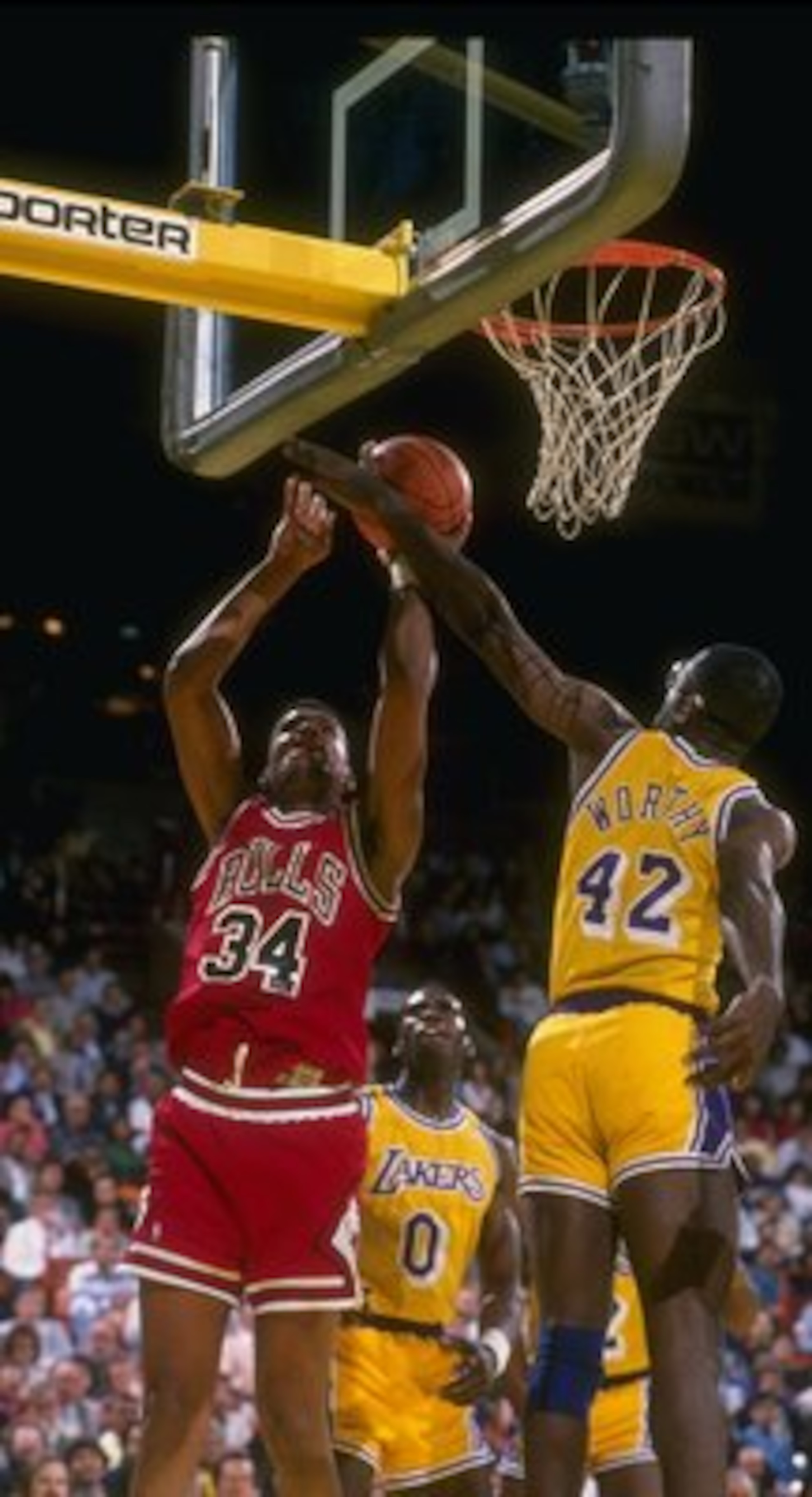 Forward Stacey King of the Chicago Bulls (left).