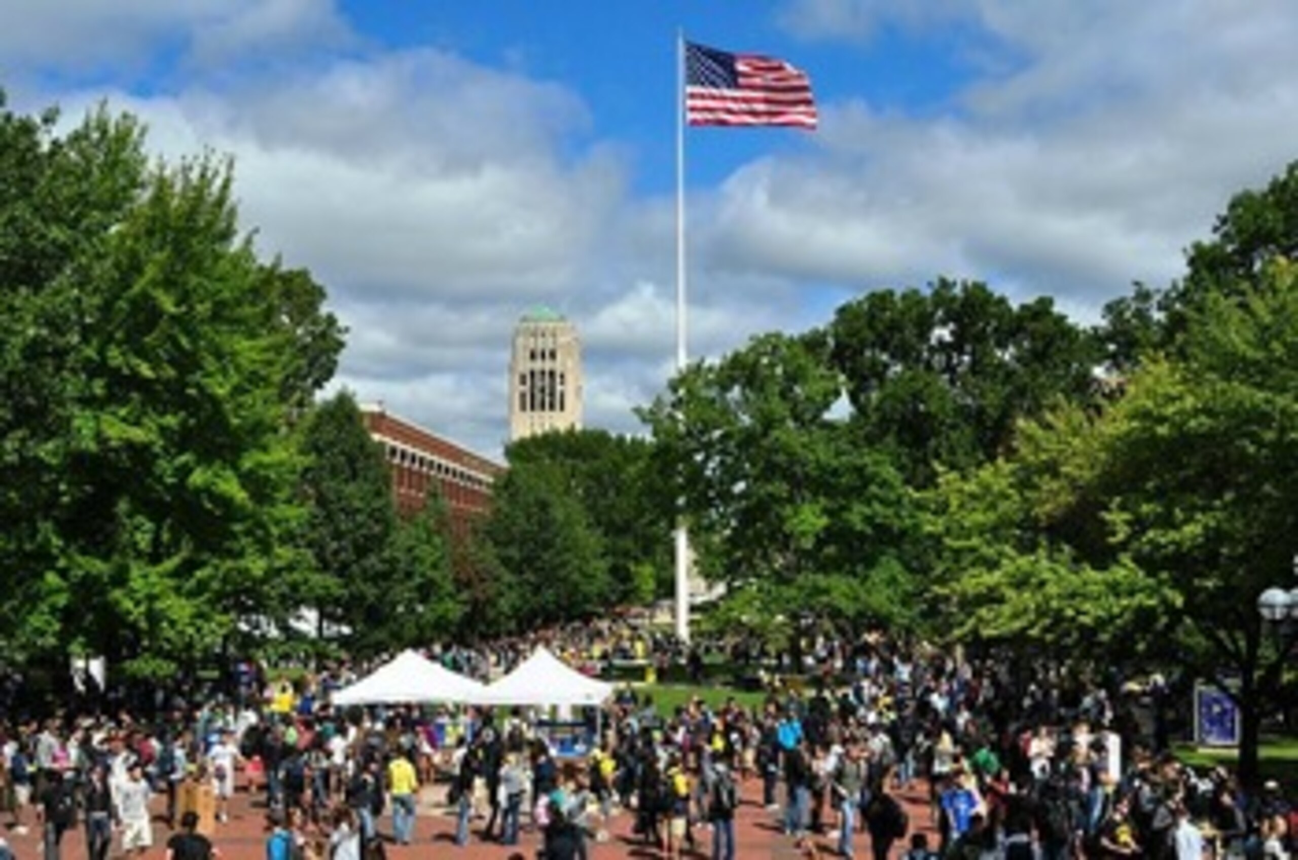 The Diag (Photo: Andrew Home)